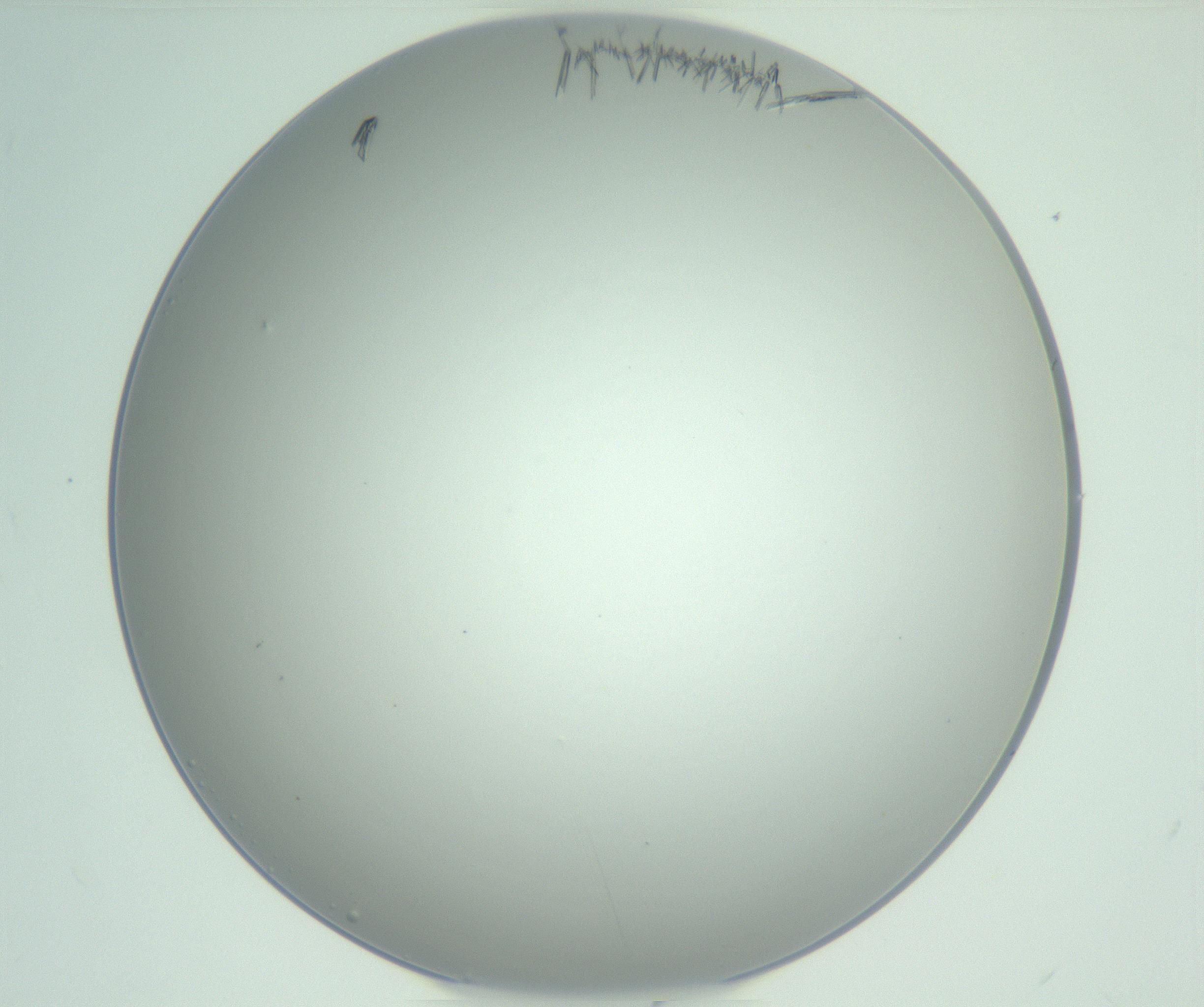 RI01_03_000_0212_Proj1_Clon1_MC_0000MC102948_002_161110_09_03_01_00_99_002_001_RAI.jpg