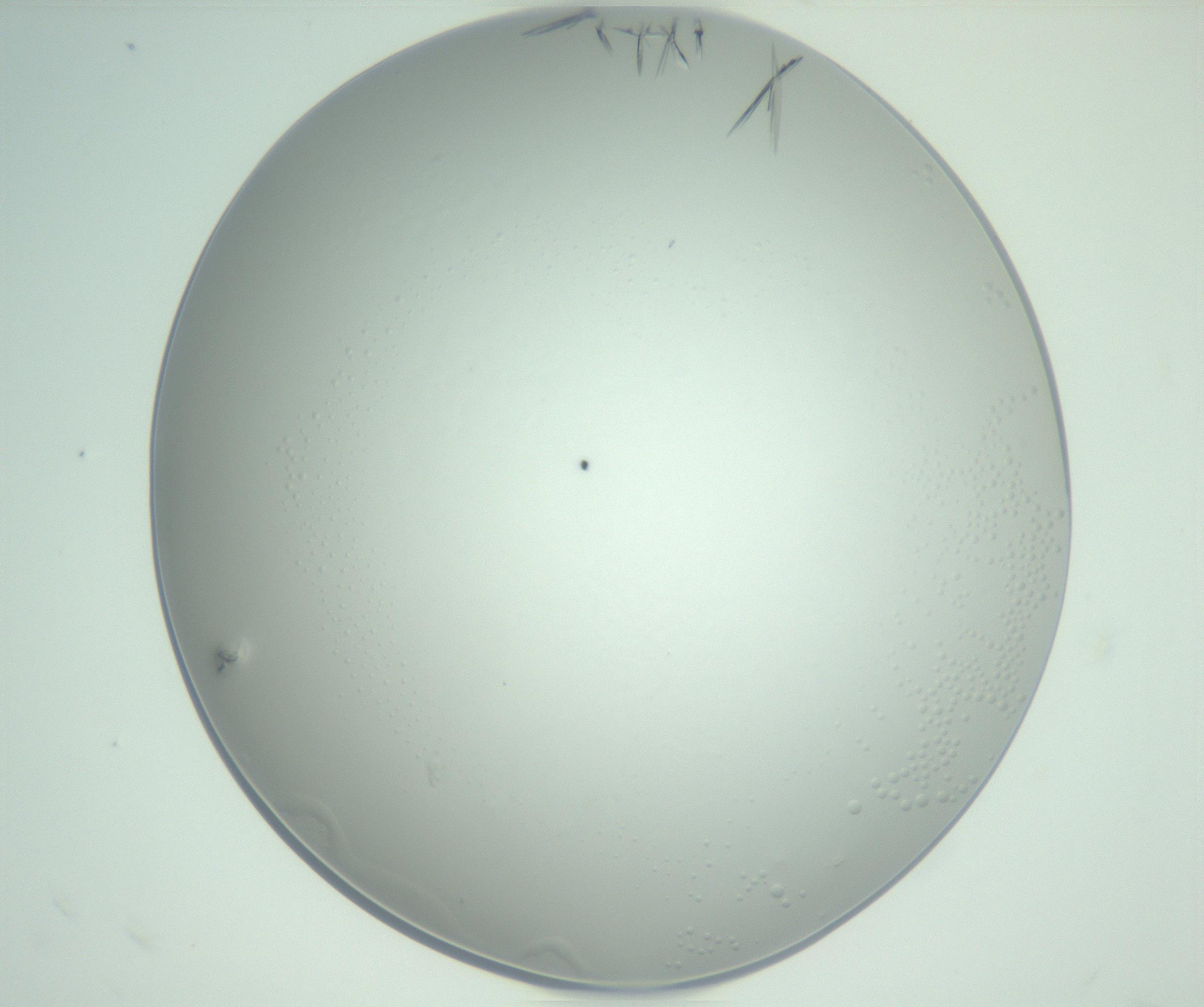 RI01_03_000_0212_Proj1_Clon1_MC_0000MC102948_002_161110_09_03_02_00_99_002_001_RAI.jpg