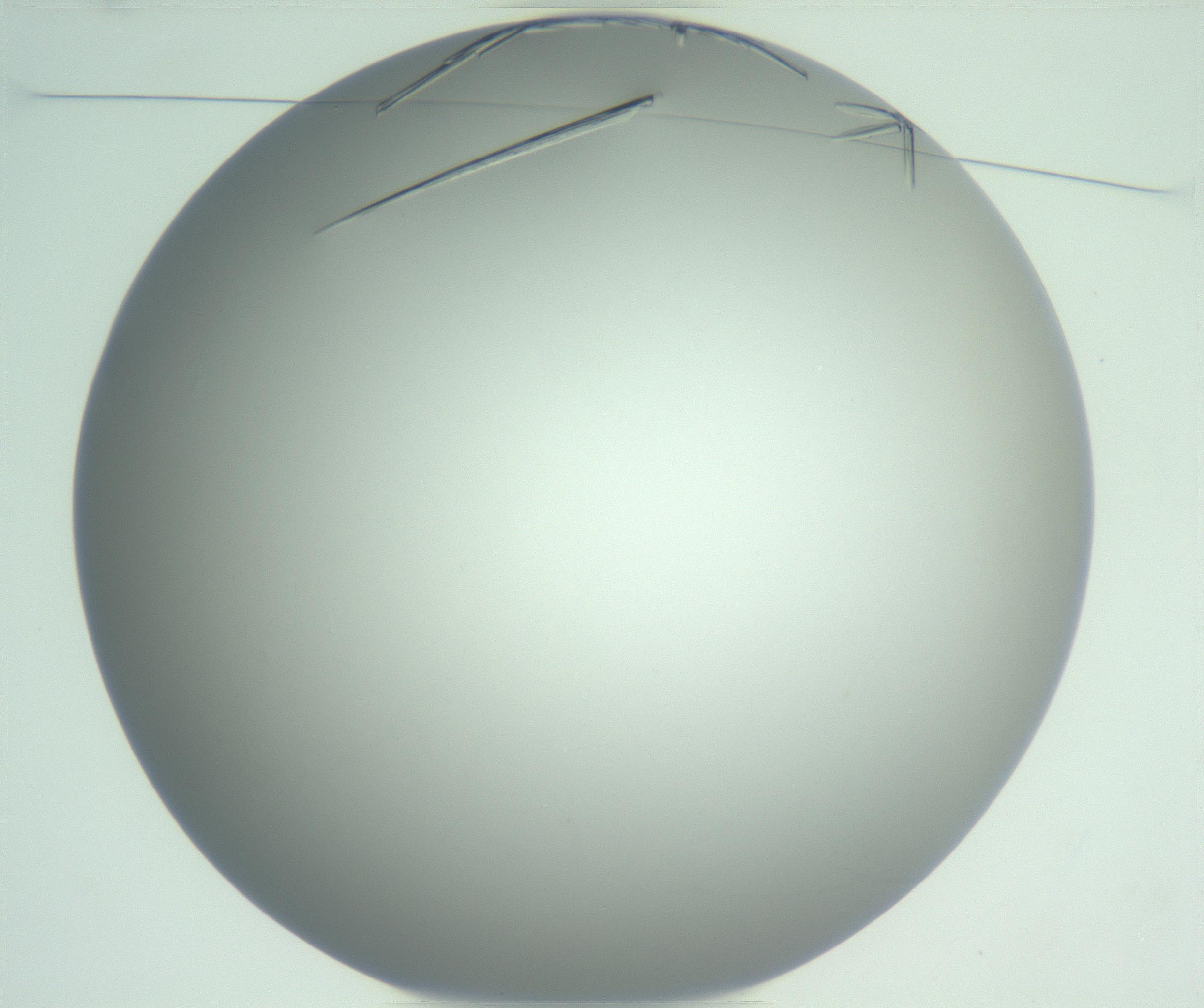 RI01_03_000_0212_Proj1_Clon1_MC_0000MC102948_002_161110_10_01_01_00_99_002_001_RAI.jpg