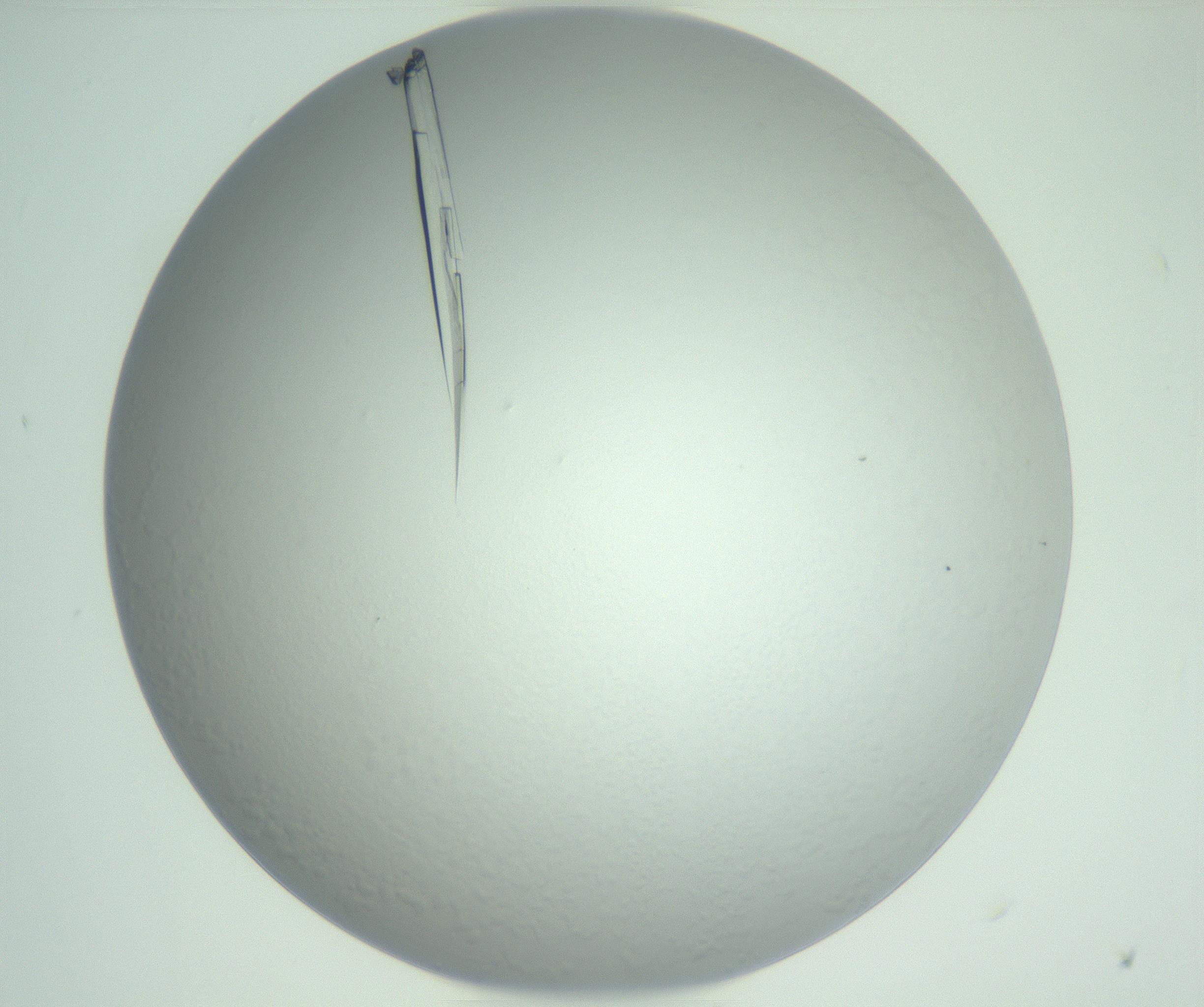 RI01_03_000_0212_Proj1_Clon1_MC_0000MC102948_002_161110_10_01_02_00_99_002_001_RAI.jpg