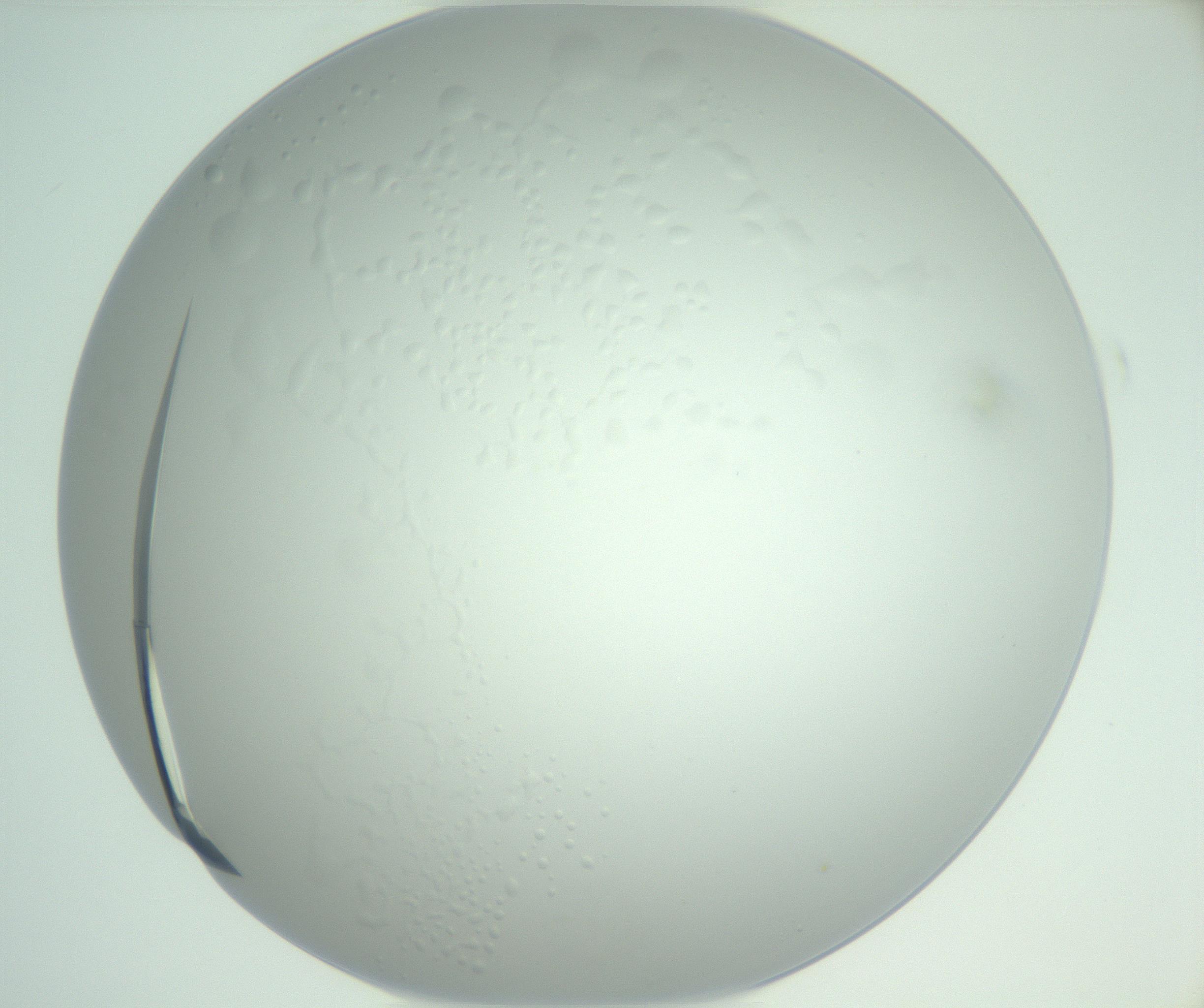 RI01_03_000_0212_Proj1_Clon1_MC_0000MC102948_002_161110_12_01_01_00_99_002_001_RAI.jpg