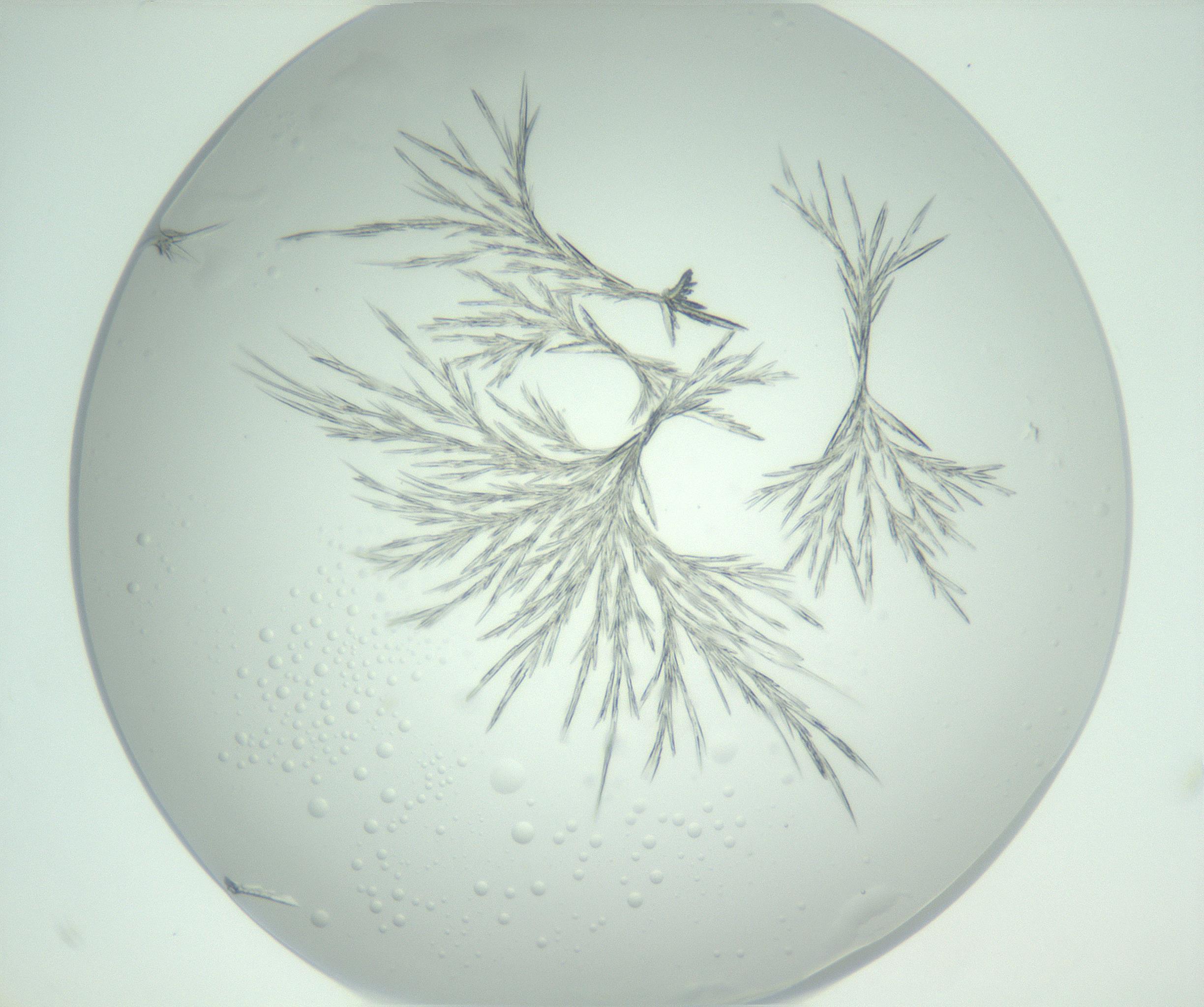 RI01_03_000_0212_Proj1_Clon1_MC_0000MC102948_002_161110_12_05_02_00_99_002_001_RAI.jpg