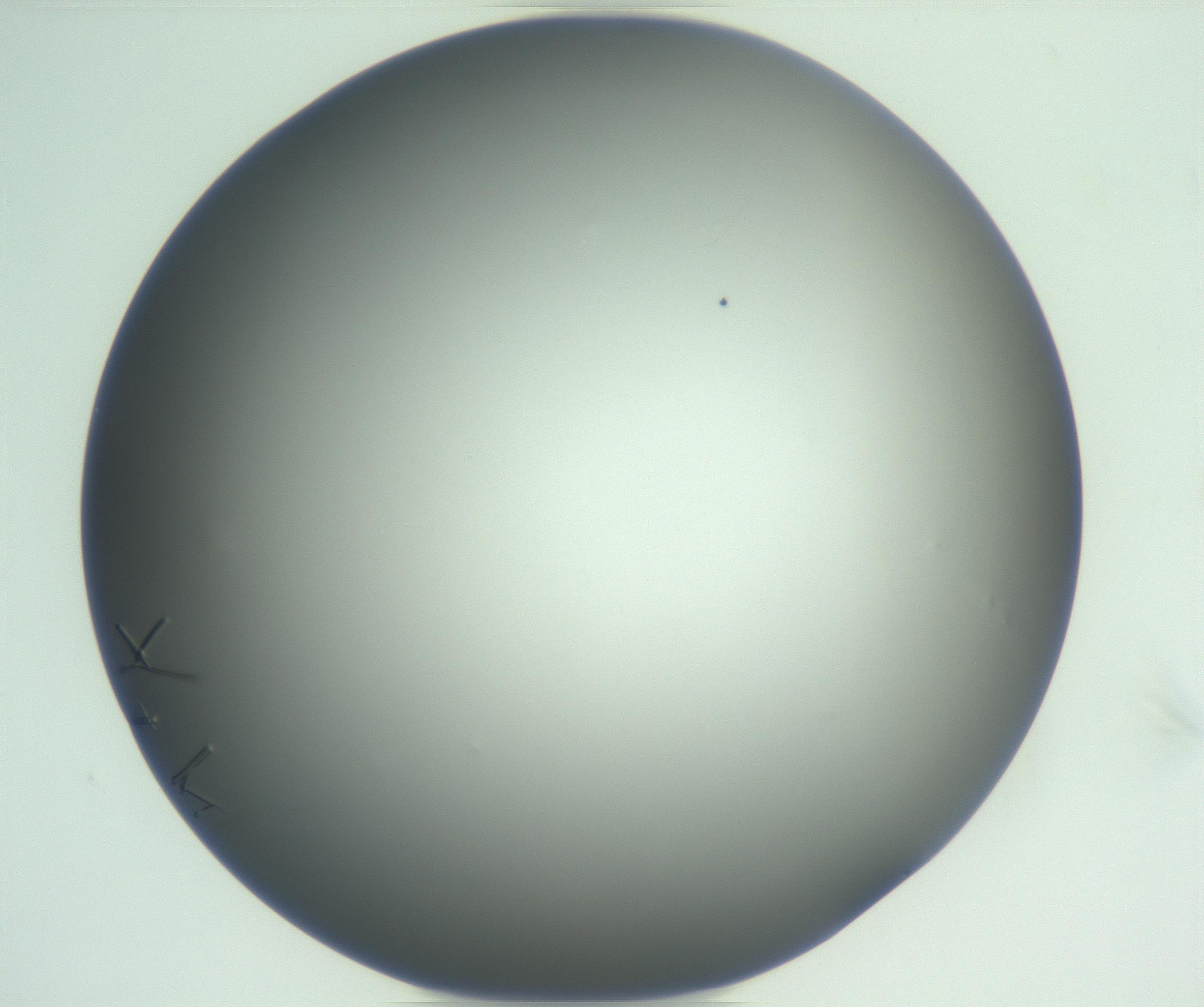 RI01_03_000_0212_Proj1_Clon1_MC_0000MC102948_003_161112_09_01_01_00_99_002_001_RAI.jpg