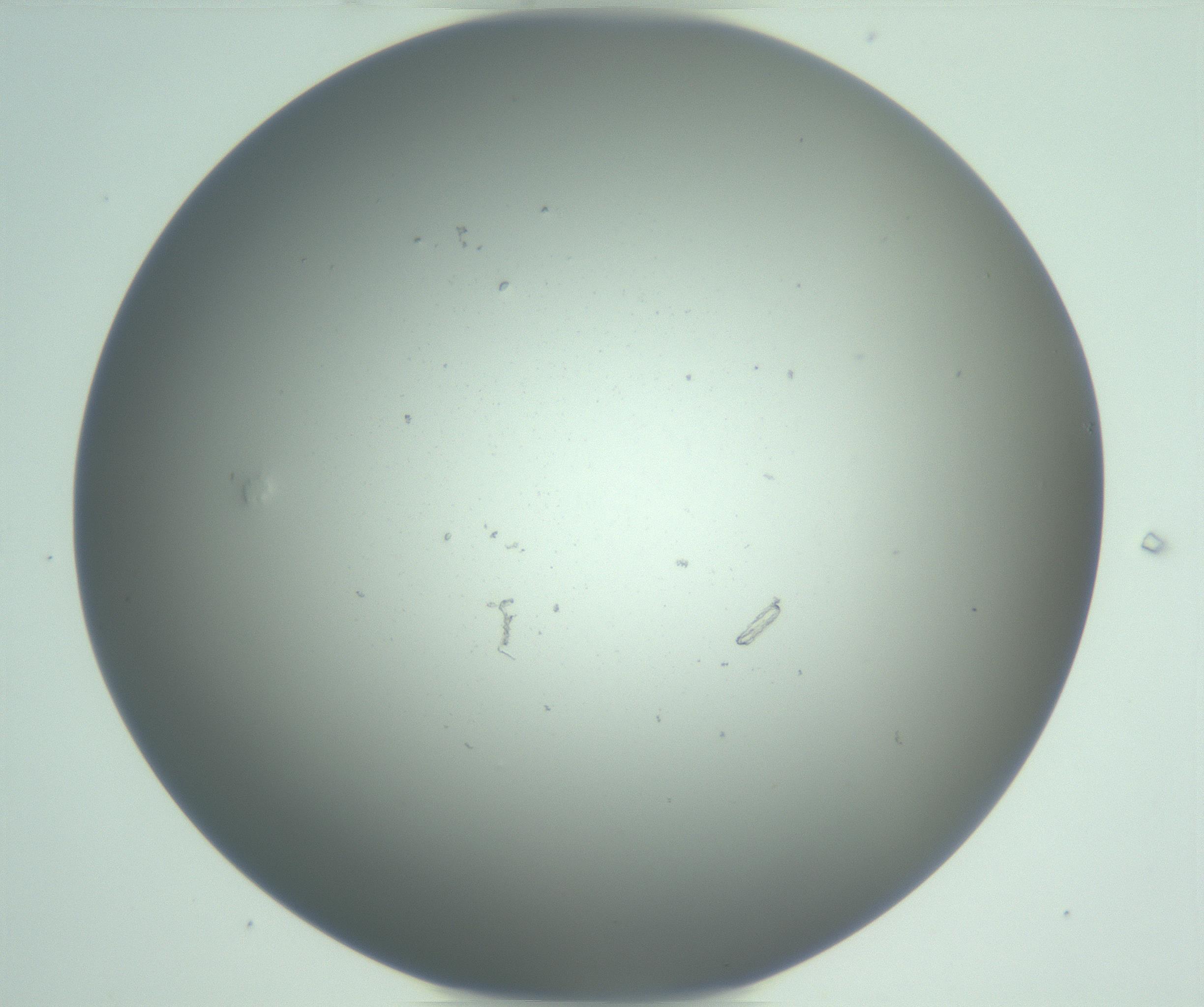 RI01_03_000_0212_Proj1_Clon1_MC_0000MC102949_010_161215_07_07_01_00_99_002_001_RAI.jpg