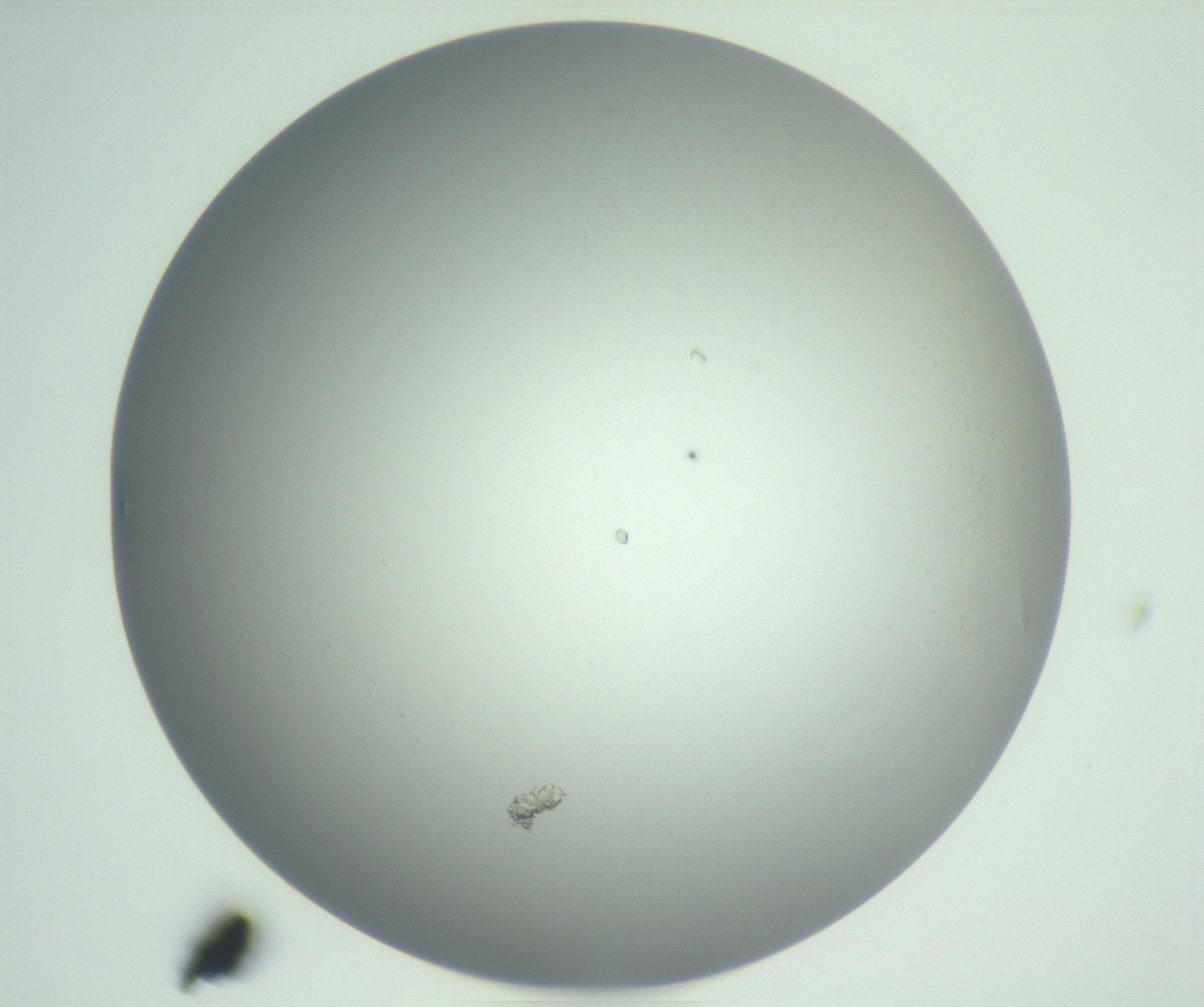 RI01_03_000_0212_Proj1_Clon1_MC_0000MC102950_005_161117_10_03_01_00_99_002_001_RAI.jpg