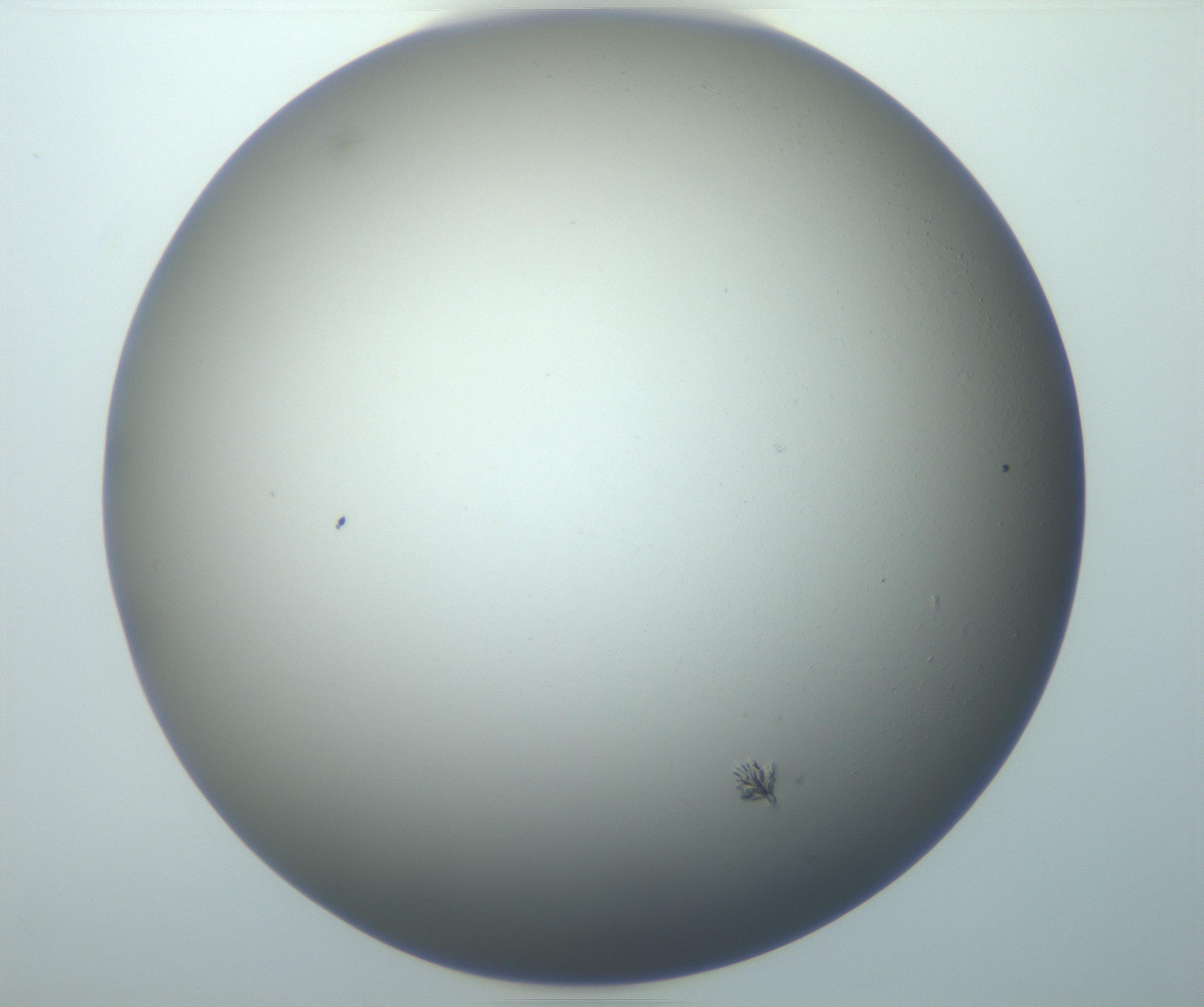 RI01_03_000_0212_Proj1_Clon1_MC_0000MC102951_004_161115_10_08_01_00_99_002_001_RAI.jpg