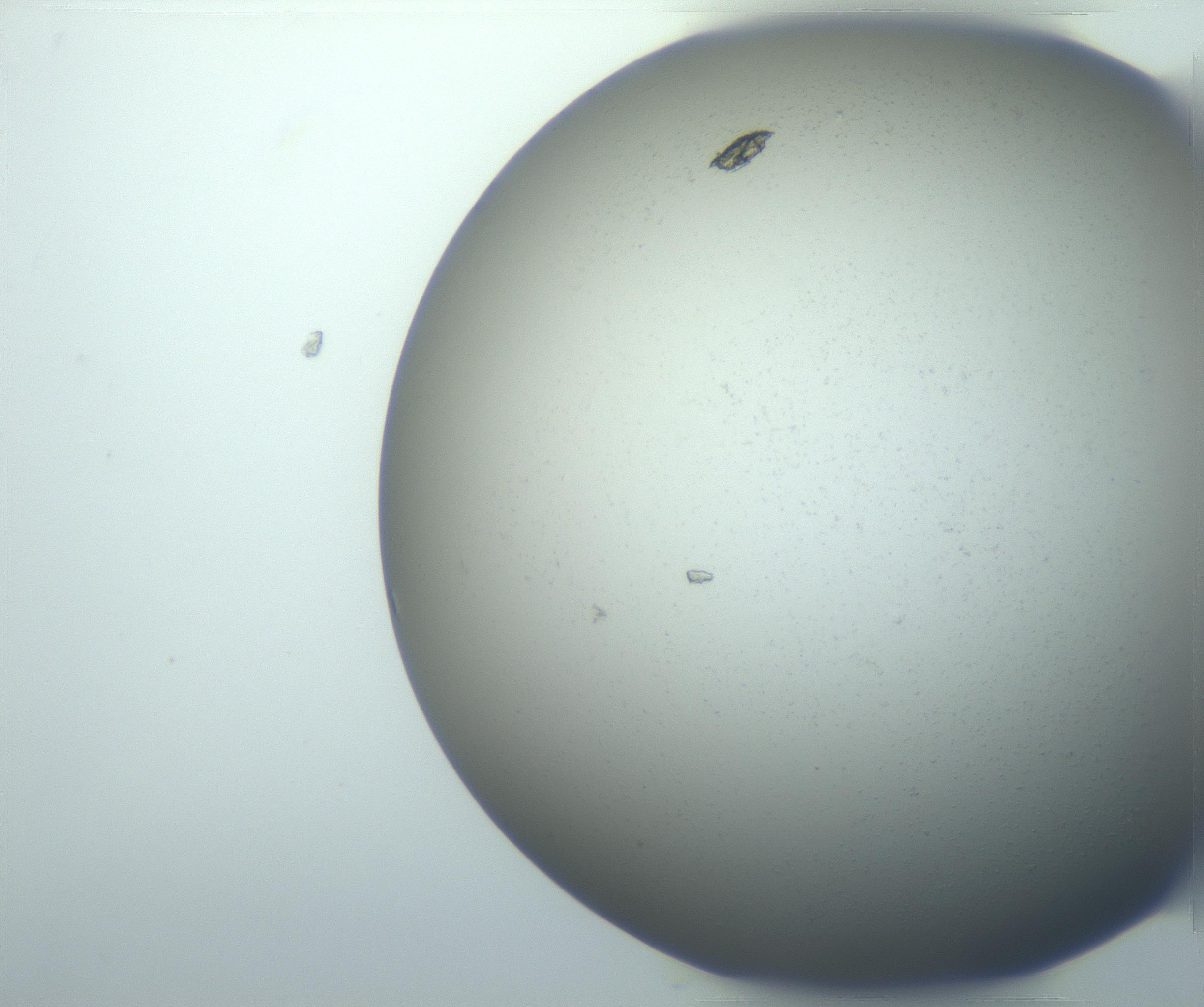 RI01_03_000_0212_Proj1_Clon1_MC_0000MC102951_005_161117_05_08_01_00_99_002_001_RAI.jpg