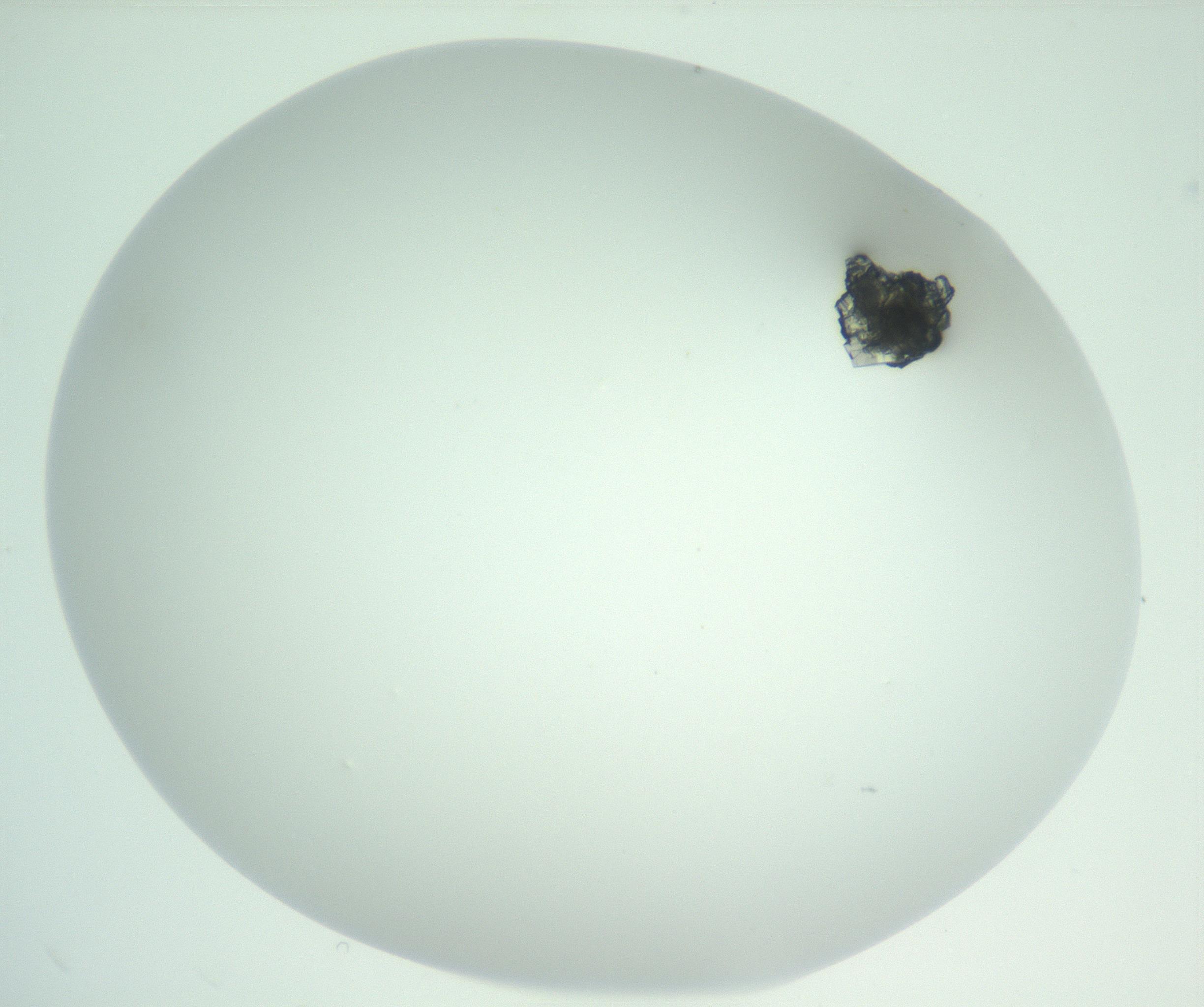 RI01_03_000_0212_Proj1_Clon1_MC_0000MC102956_003_161113_02_02_02_00_99_002_001_RAI.jpg