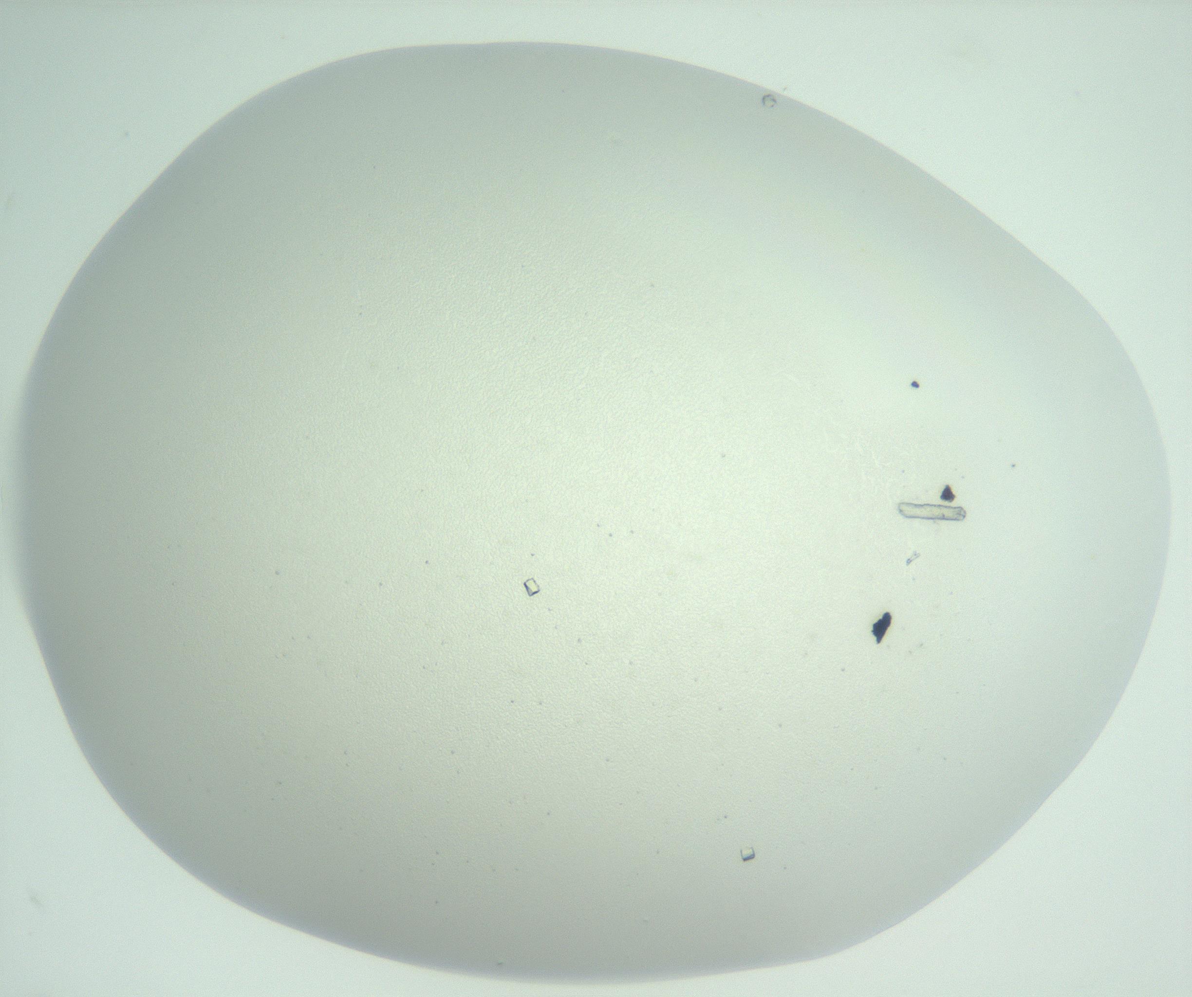 RI01_03_000_0212_Proj1_Clon1_MC_0000MC102956_003_161113_06_01_02_00_99_002_001_RAI.jpg