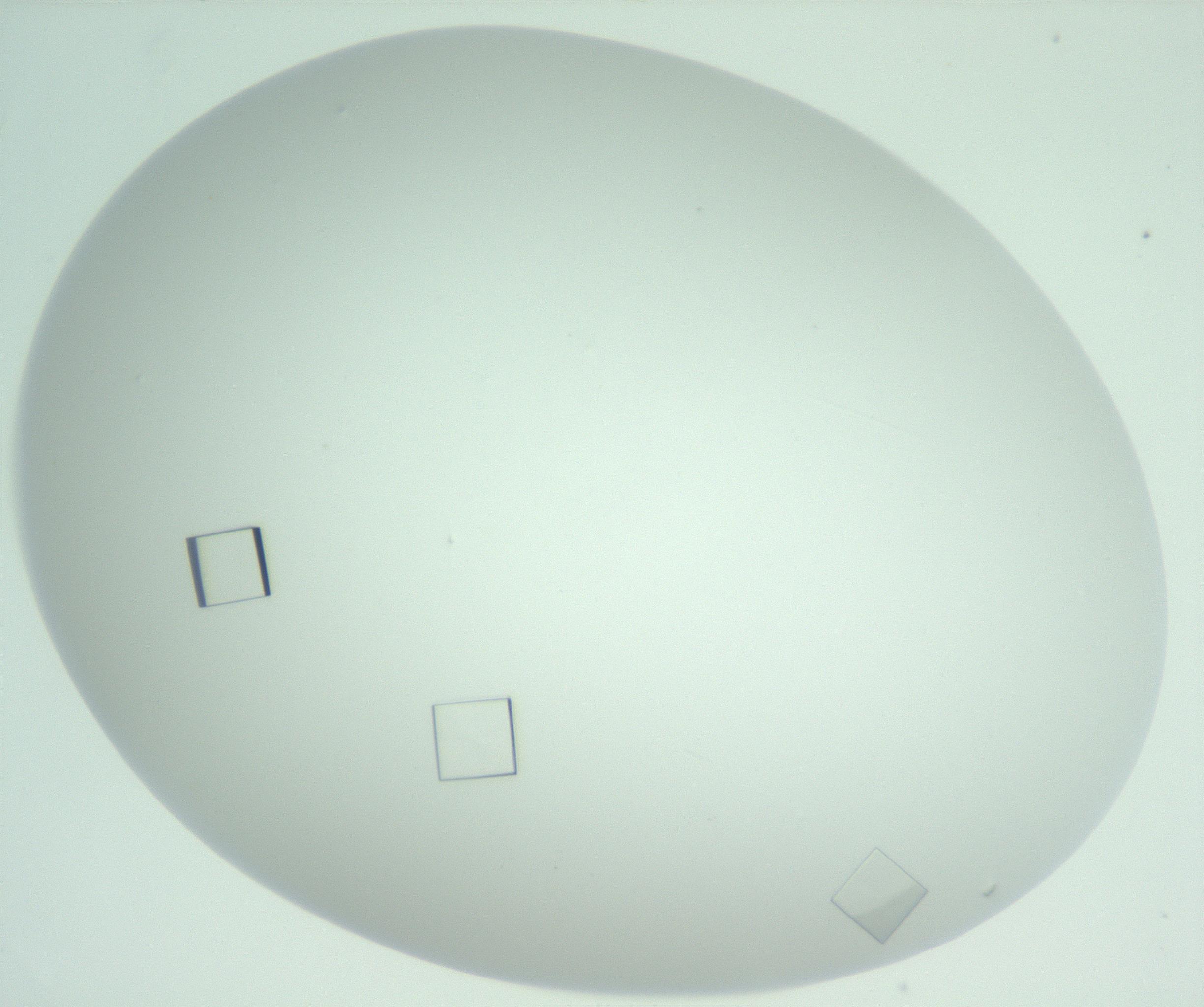 RI01_03_000_0212_Proj1_Clon1_MC_0000MC102956_006_161120_03_02_02_00_99_002_001_RAI.jpg