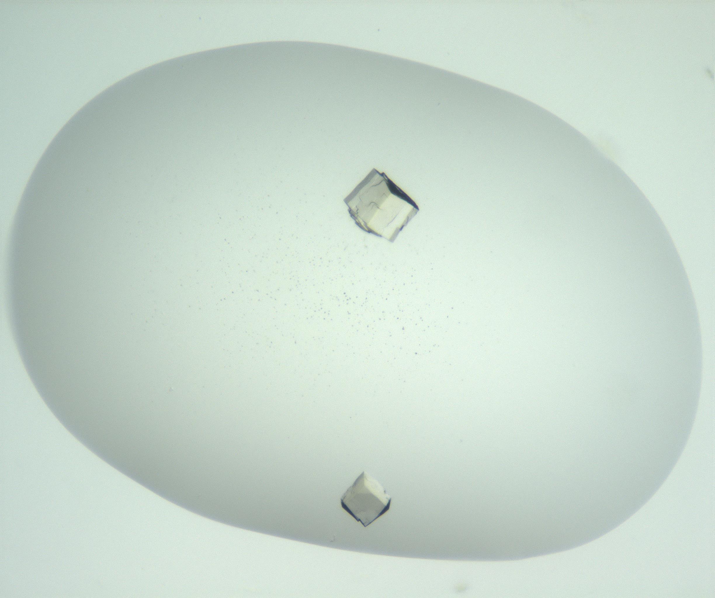 RI01_03_000_0212_Proj1_Clon1_MC_0000MC102956_006_161120_05_03_01_00_99_002_001_RAI.jpg