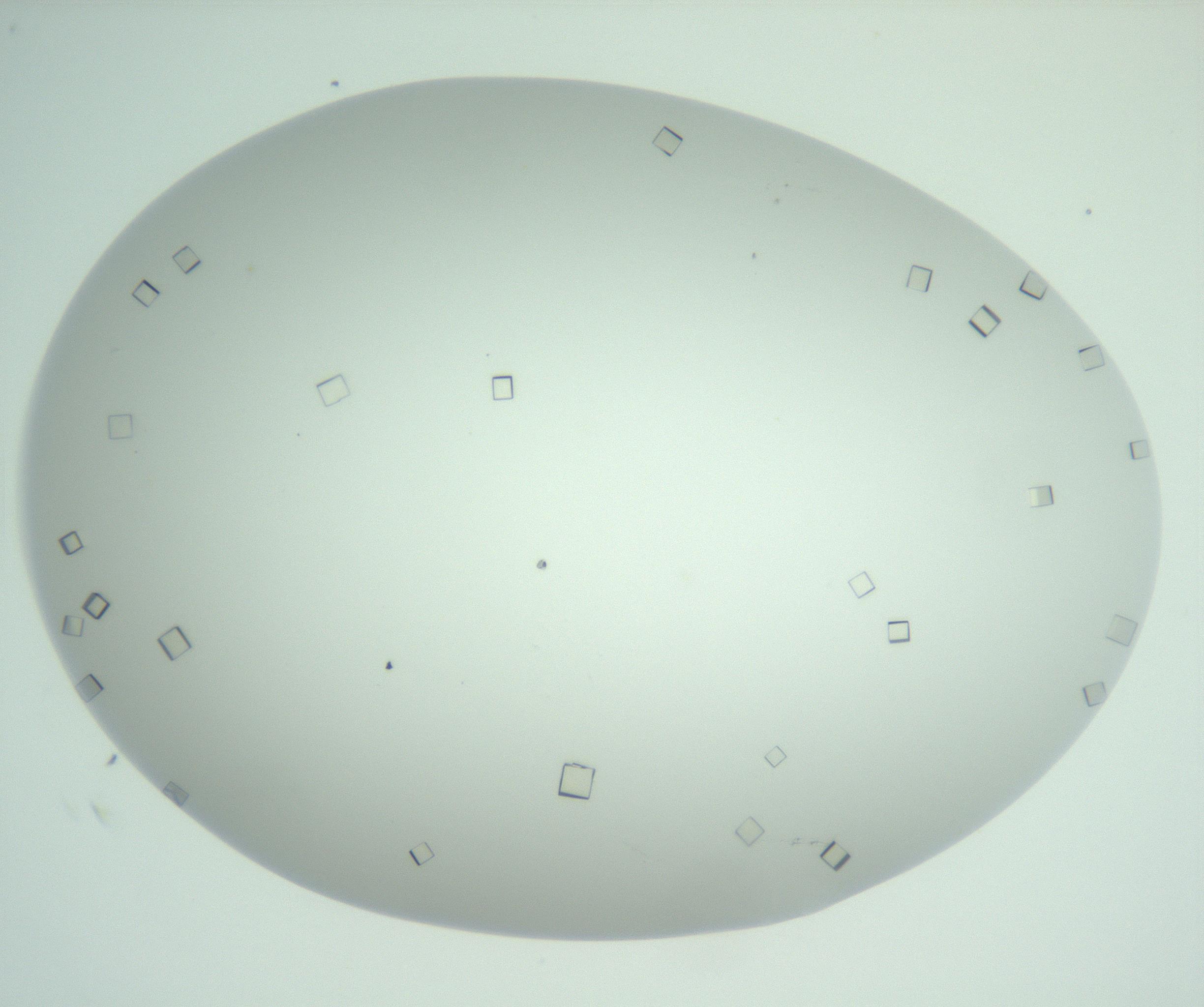 RI01_03_000_0212_Proj1_Clon1_MC_0000MC102956_006_161120_05_03_02_00_99_002_001_RAI.jpg