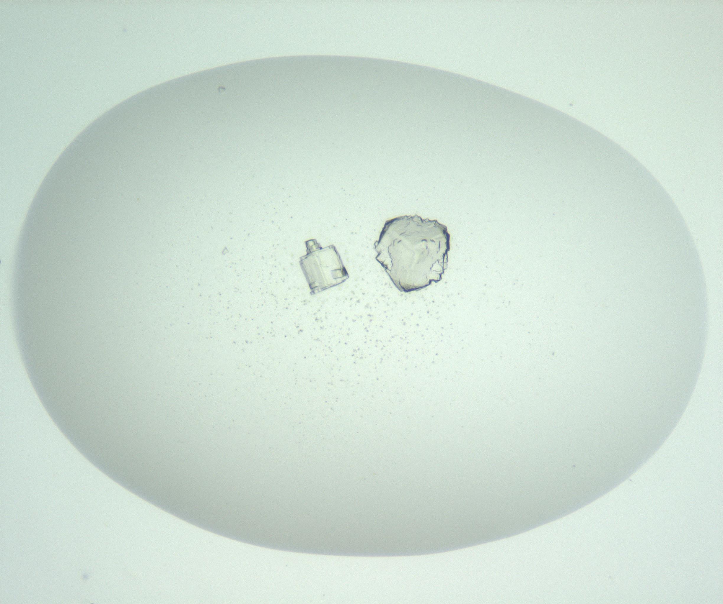 RI01_03_000_0212_Proj1_Clon1_MC_0000MC102956_006_161120_05_04_01_00_99_002_001_RAI.jpg