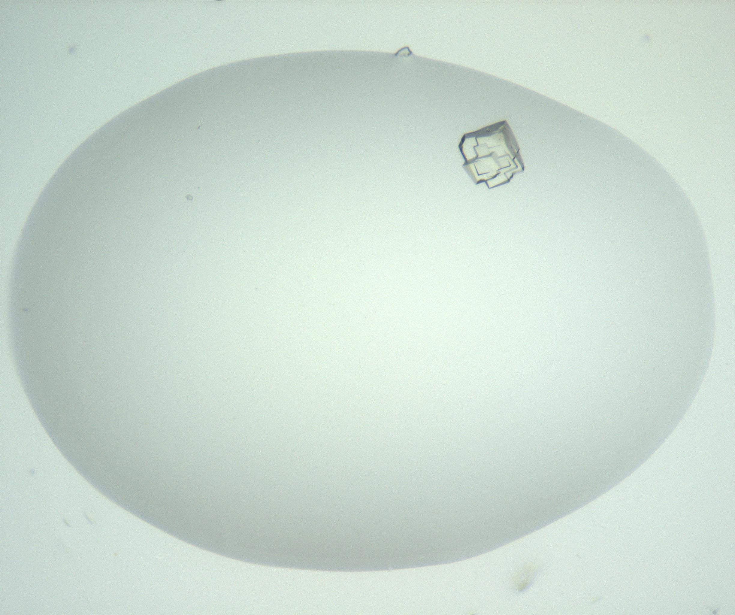 RI01_03_000_0212_Proj1_Clon1_MC_0000MC102956_006_161120_06_03_02_00_99_002_001_RAI.jpg