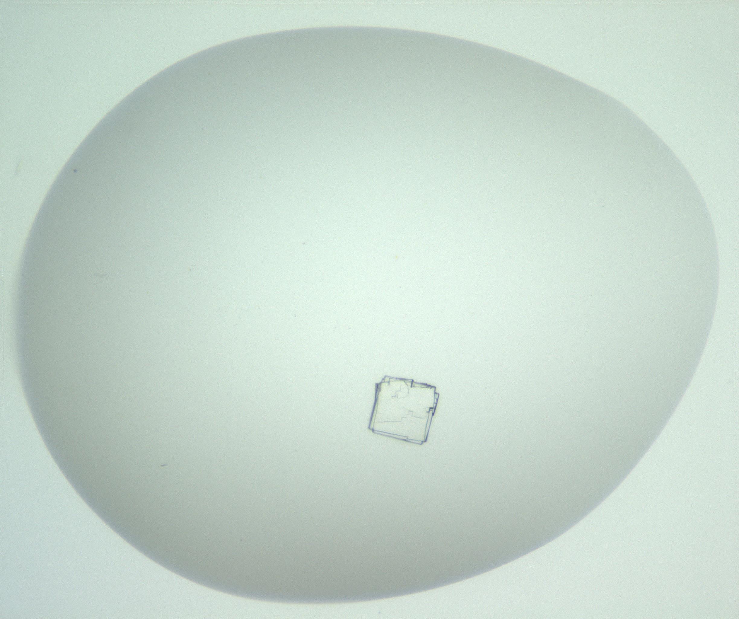 RI01_03_000_0212_Proj1_Clon1_MC_0000MC102956_006_161120_06_08_02_00_99_002_001_RAI.jpg