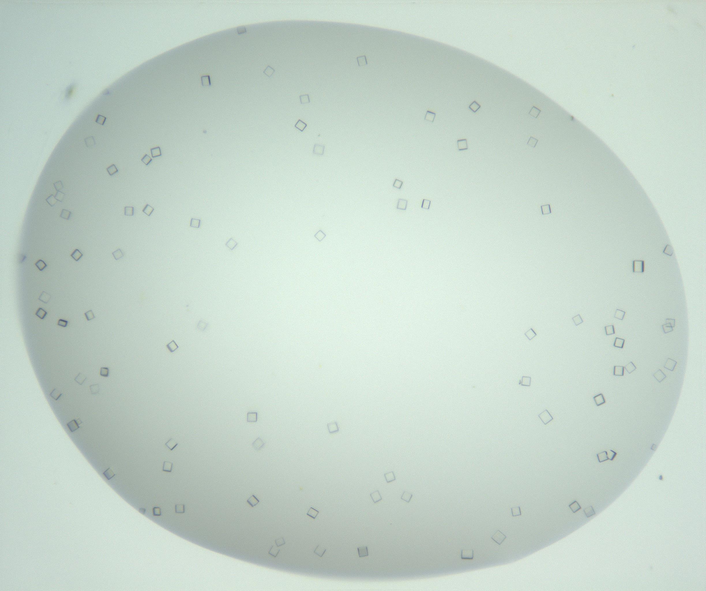 RI01_03_000_0212_Proj1_Clon1_MC_0000MC102956_006_161120_07_03_02_00_99_002_001_RAI.jpg