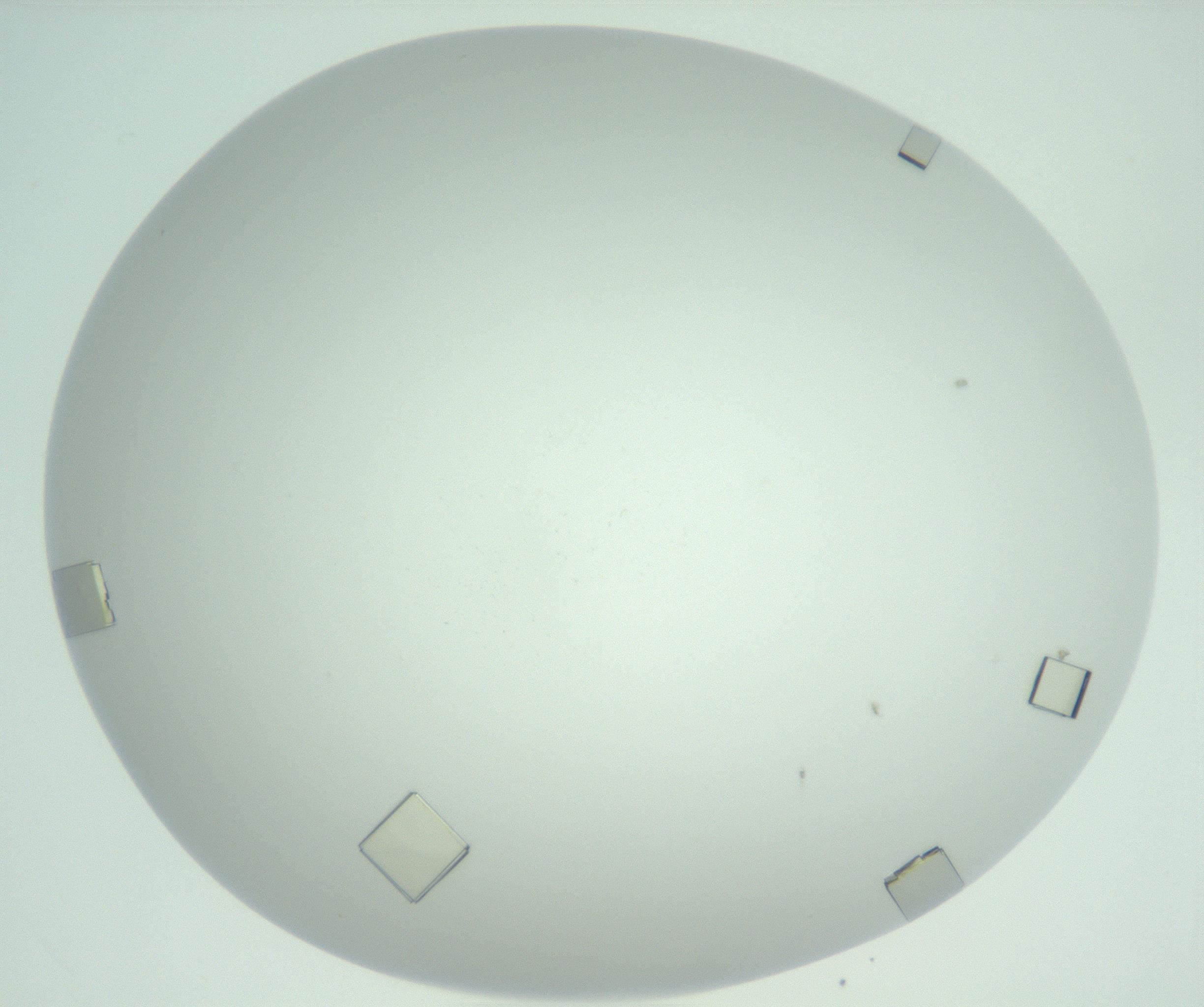 RI01_03_000_0212_Proj1_Clon1_MC_0000MC102956_006_161120_11_05_02_00_99_002_001_RAI.jpg