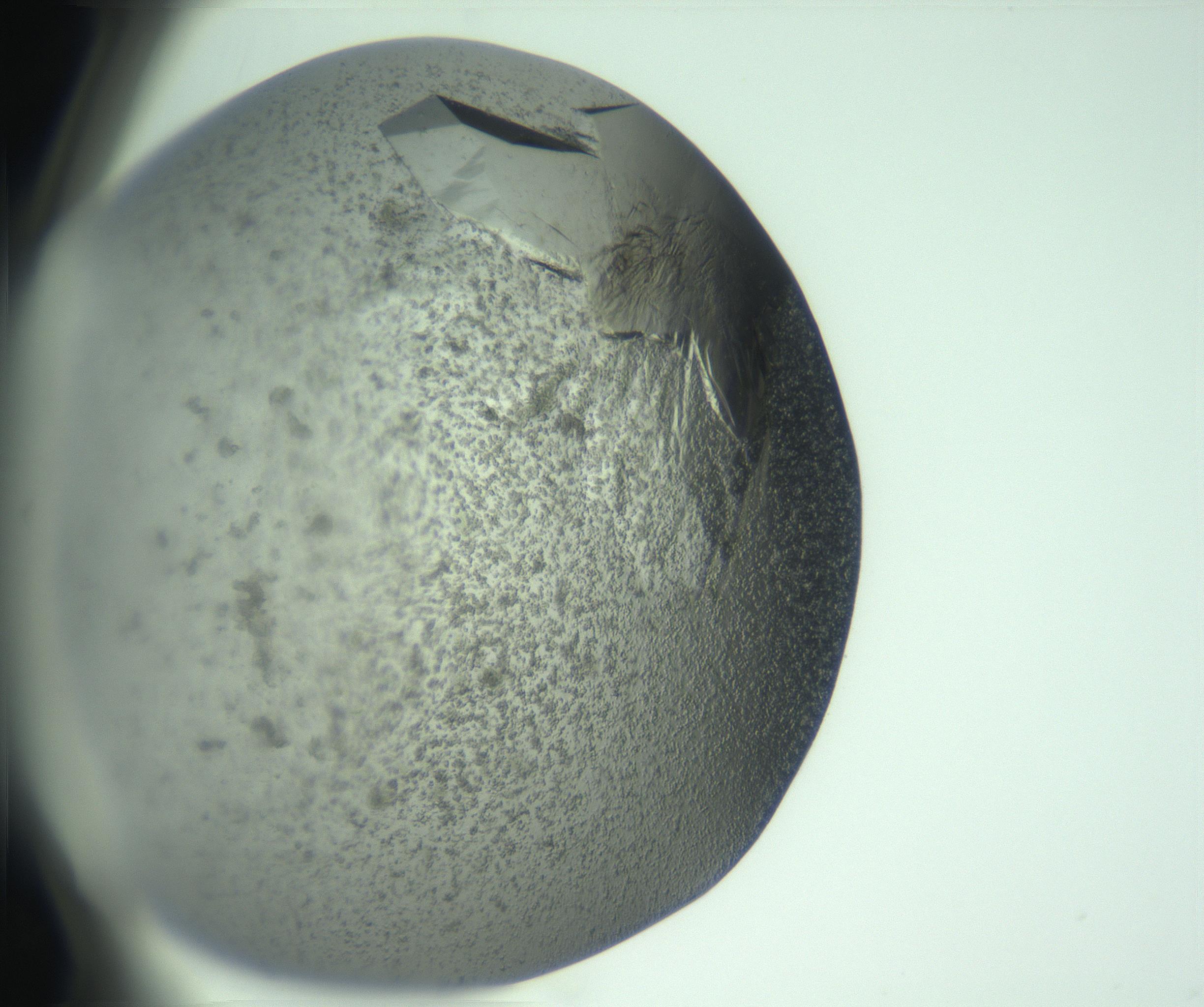 RI01_03_000_0212_Proj1_Clon1_MC_0000MC102960_014_170114_01_06_02_00_99_002_001_RAI.jpg