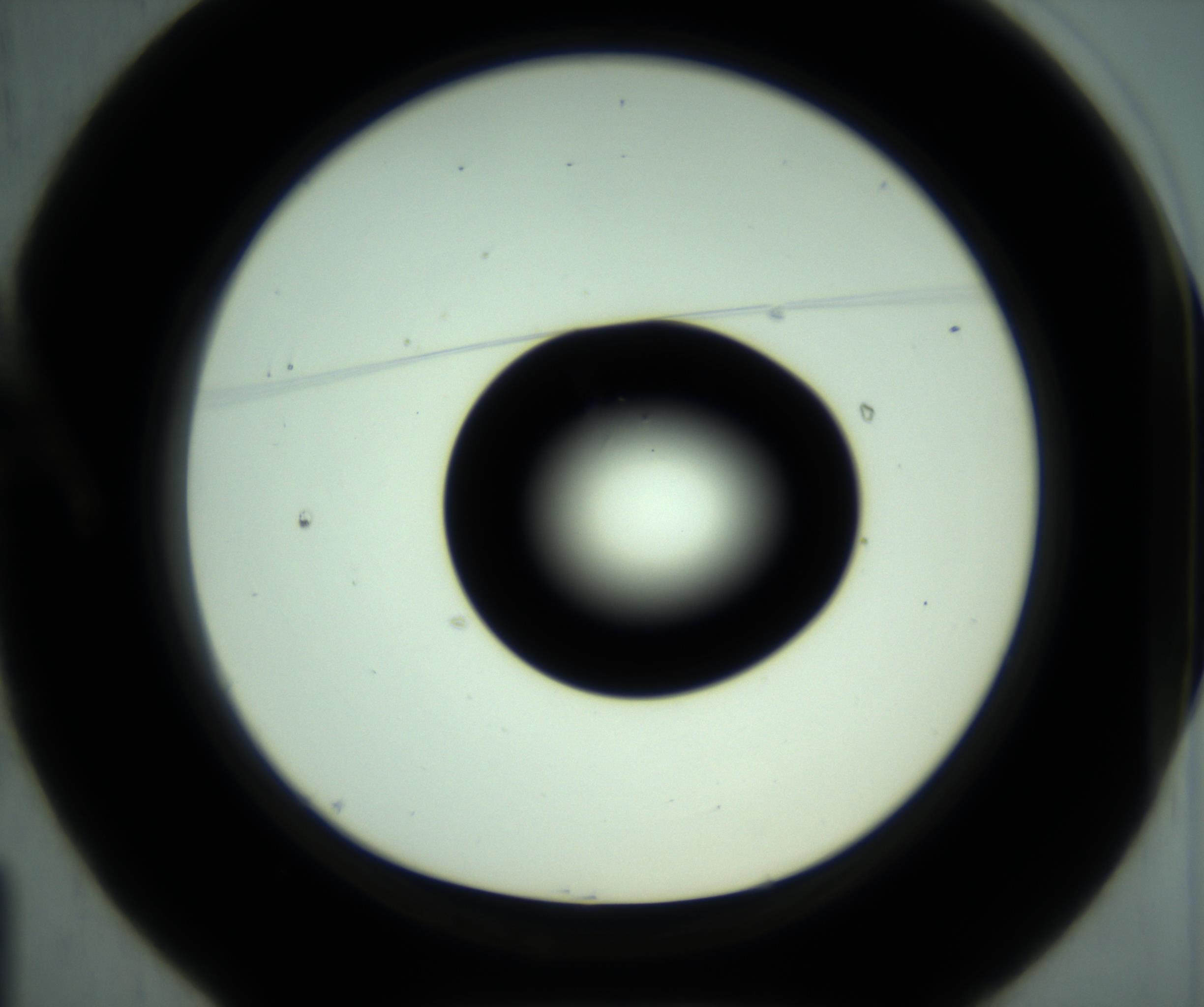RI01_03_000_0212_Proj1_Clon1_MC_0000MC102963_001_161111_01_01_01_00_98_002_001_RAI.jpg
