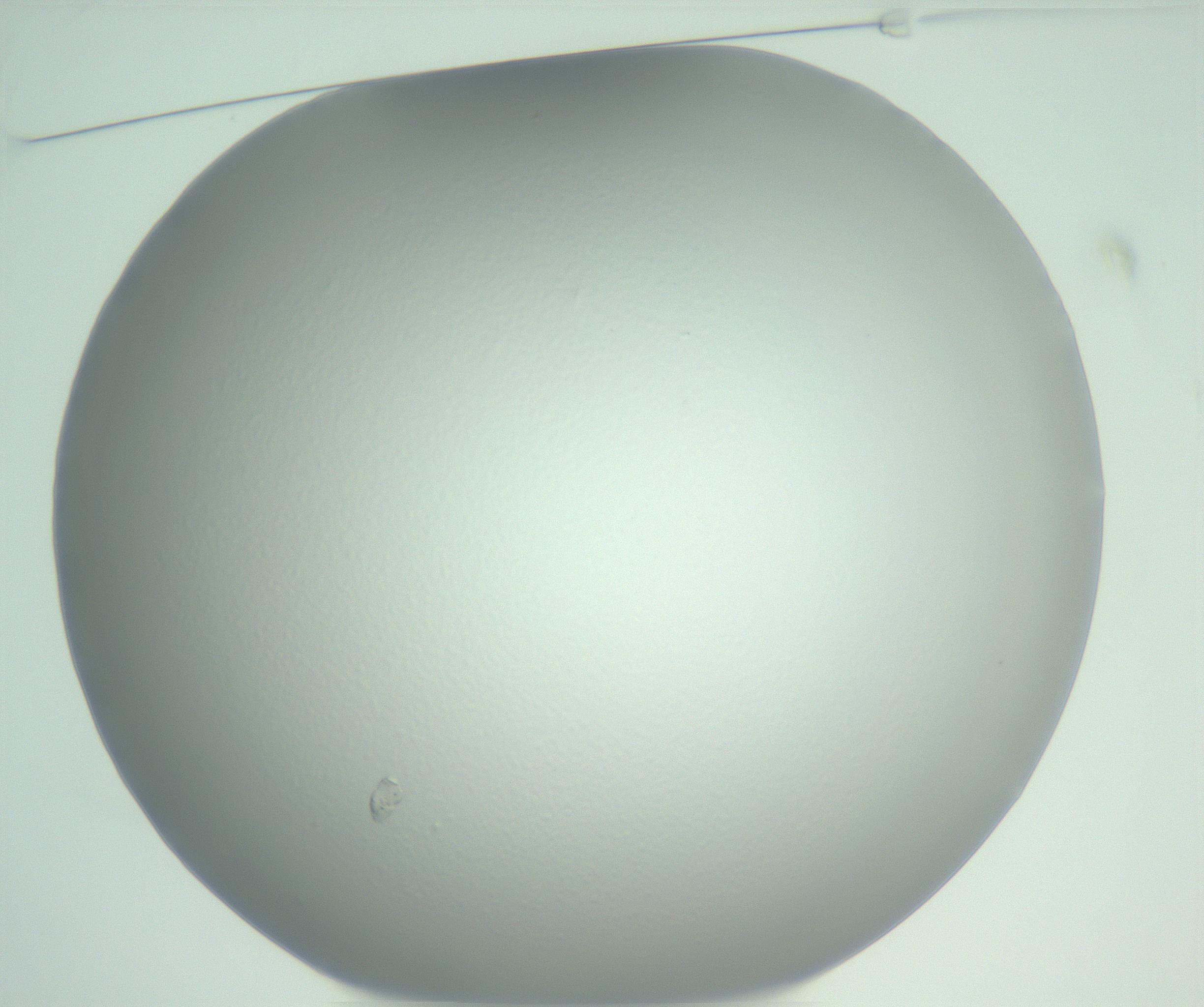 RI01_03_000_0212_Proj1_Clon1_MC_0000MC102975_006_161126_01_01_01_00_99_002_001_RAI.jpg