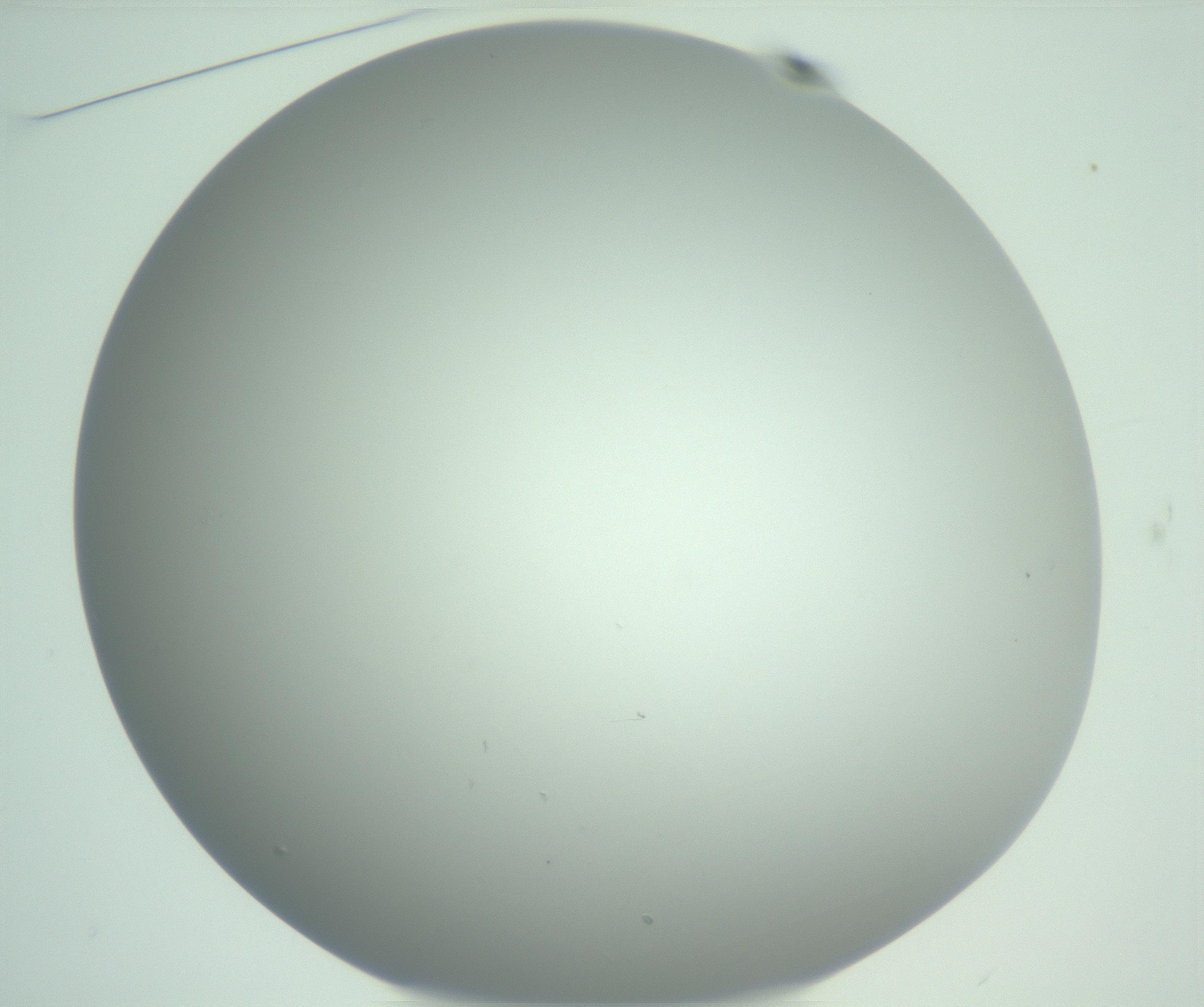 RI01_03_000_0212_Proj1_Clon1_MC_0000MC102975_006_161126_01_02_01_00_99_002_001_RAI.jpg