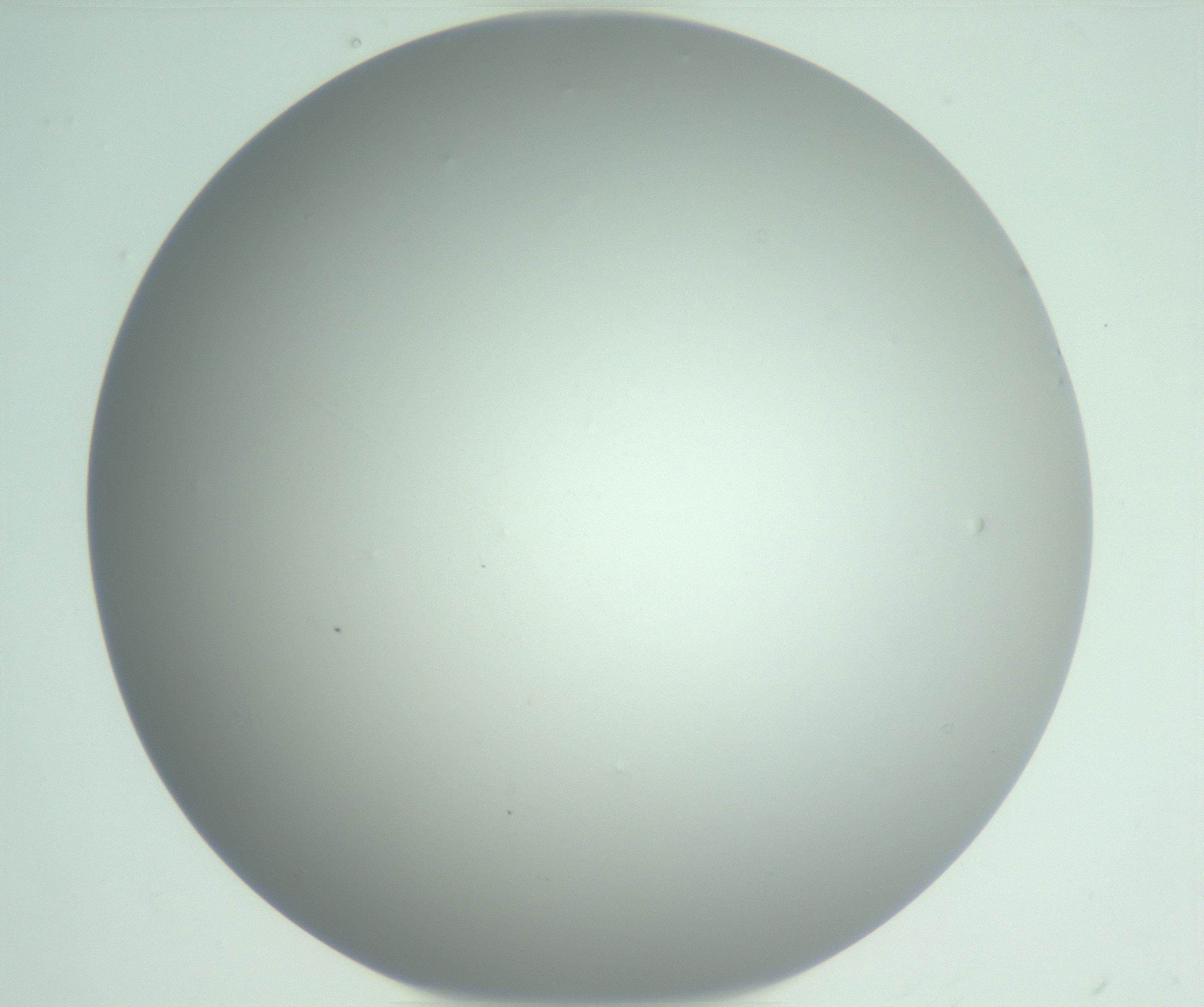 RI01_03_000_0212_Proj1_Clon1_MC_0000MC102975_006_161126_01_07_01_00_99_002_001_RAI.jpg