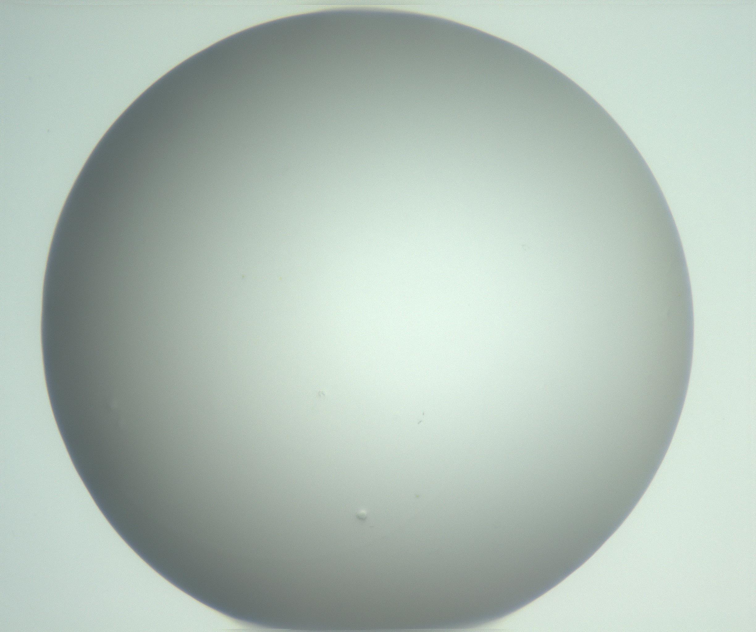 RI01_03_000_0212_Proj1_Clon1_MC_0000MC102975_006_161126_01_08_01_00_99_002_001_RAI.jpg