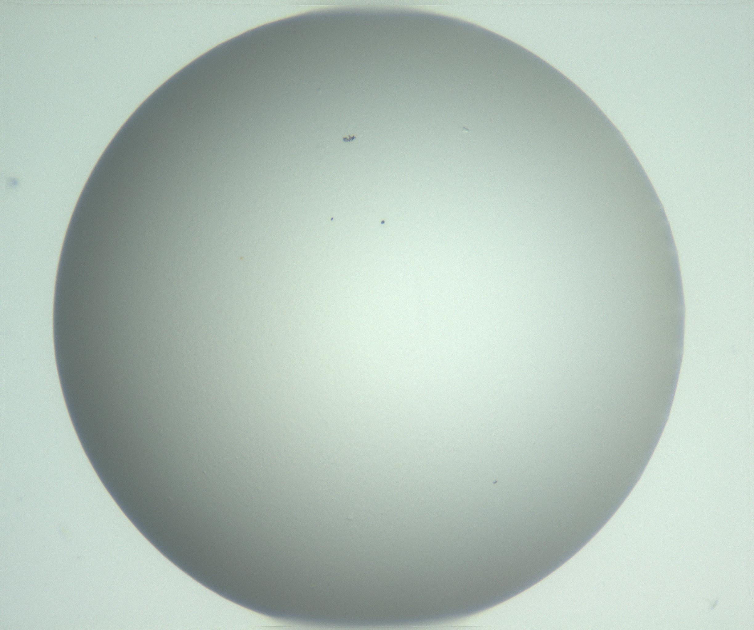 RI01_03_000_0212_Proj1_Clon1_MC_0000MC102975_006_161126_02_06_01_00_99_002_001_RAI.jpg