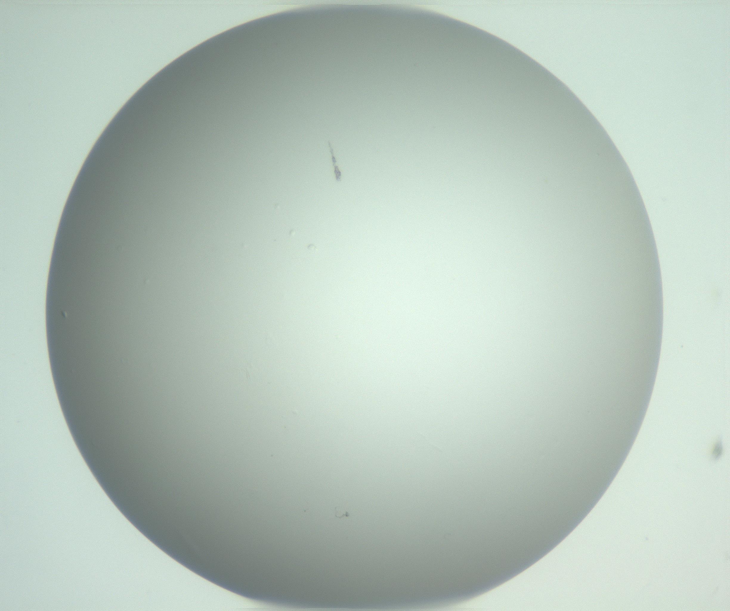 RI01_03_000_0212_Proj1_Clon1_MC_0000MC102975_006_161126_02_07_01_00_99_002_001_RAI.jpg