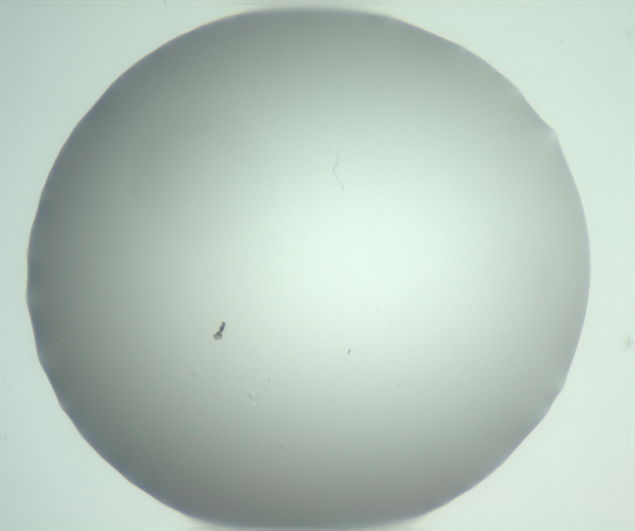 RI01_03_000_0212_Proj1_Clon1_MC_0000MC102975_006_161126_02_08_01_00_99_002_001_RAI.jpg