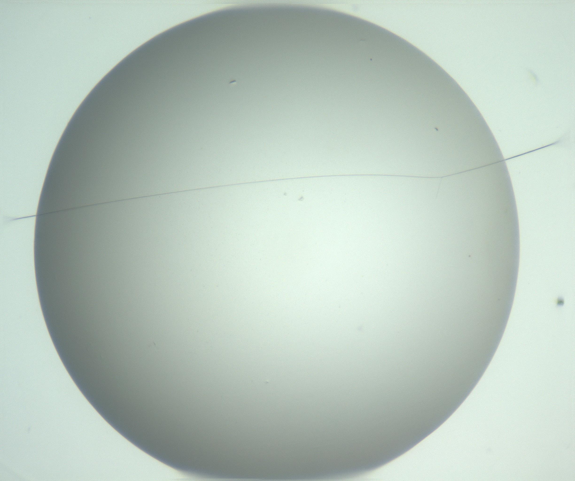 RI01_03_000_0212_Proj1_Clon1_MC_0000MC102975_006_161126_03_01_01_00_99_002_001_RAI.jpg