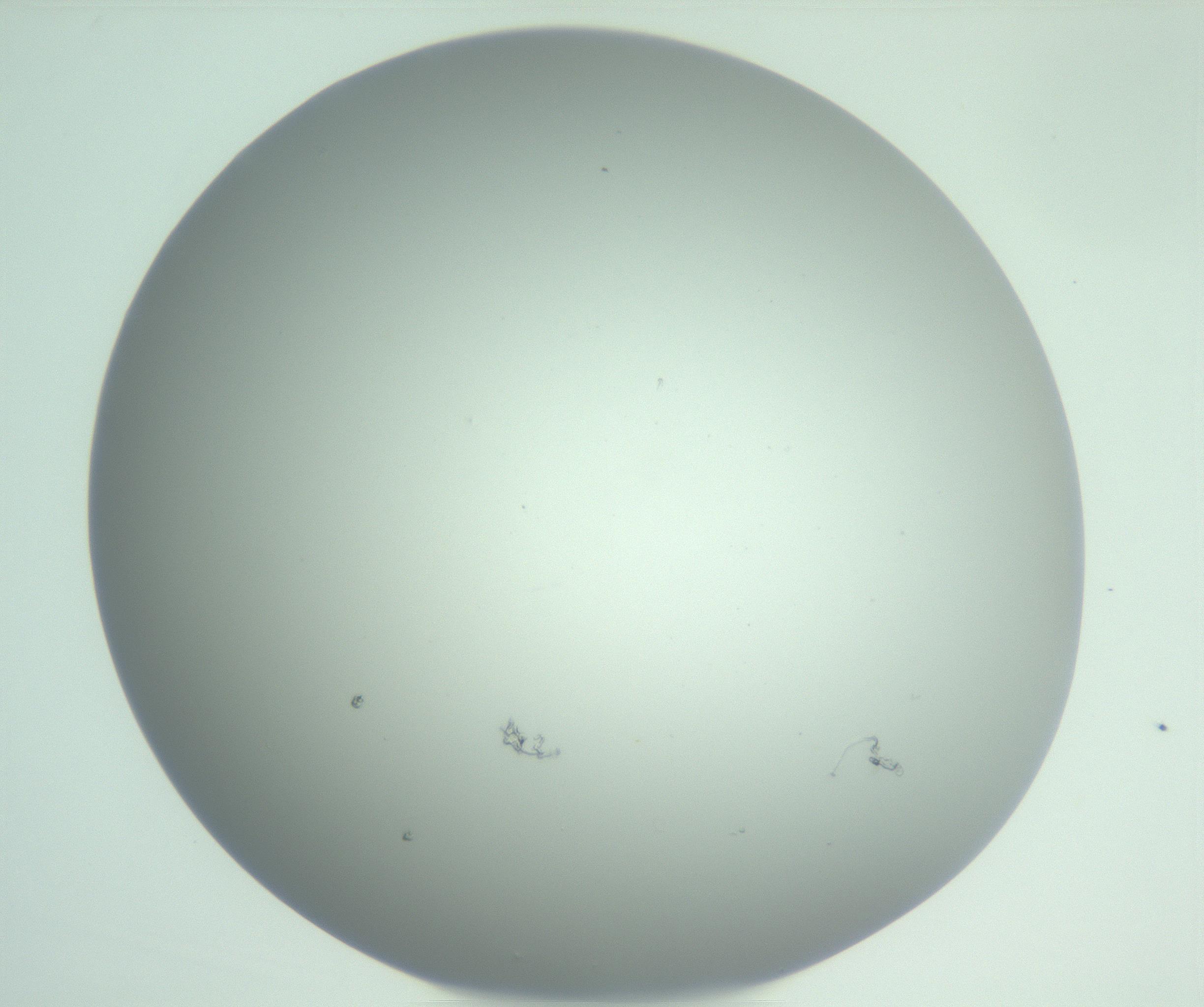RI01_03_000_0212_Proj1_Clon1_MC_0000MC102975_006_161126_03_03_01_00_99_002_001_RAI.jpg