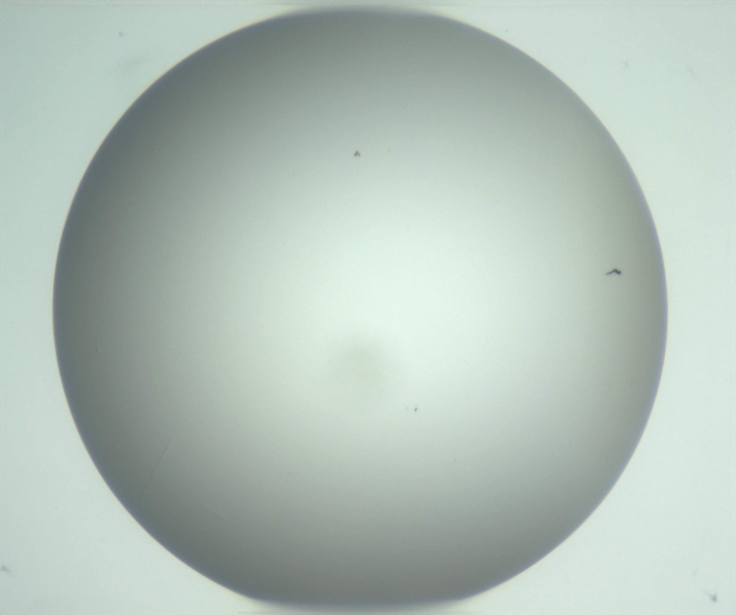 RI01_03_000_0212_Proj1_Clon1_MC_0000MC102975_006_161126_03_06_01_00_99_002_001_RAI.jpg