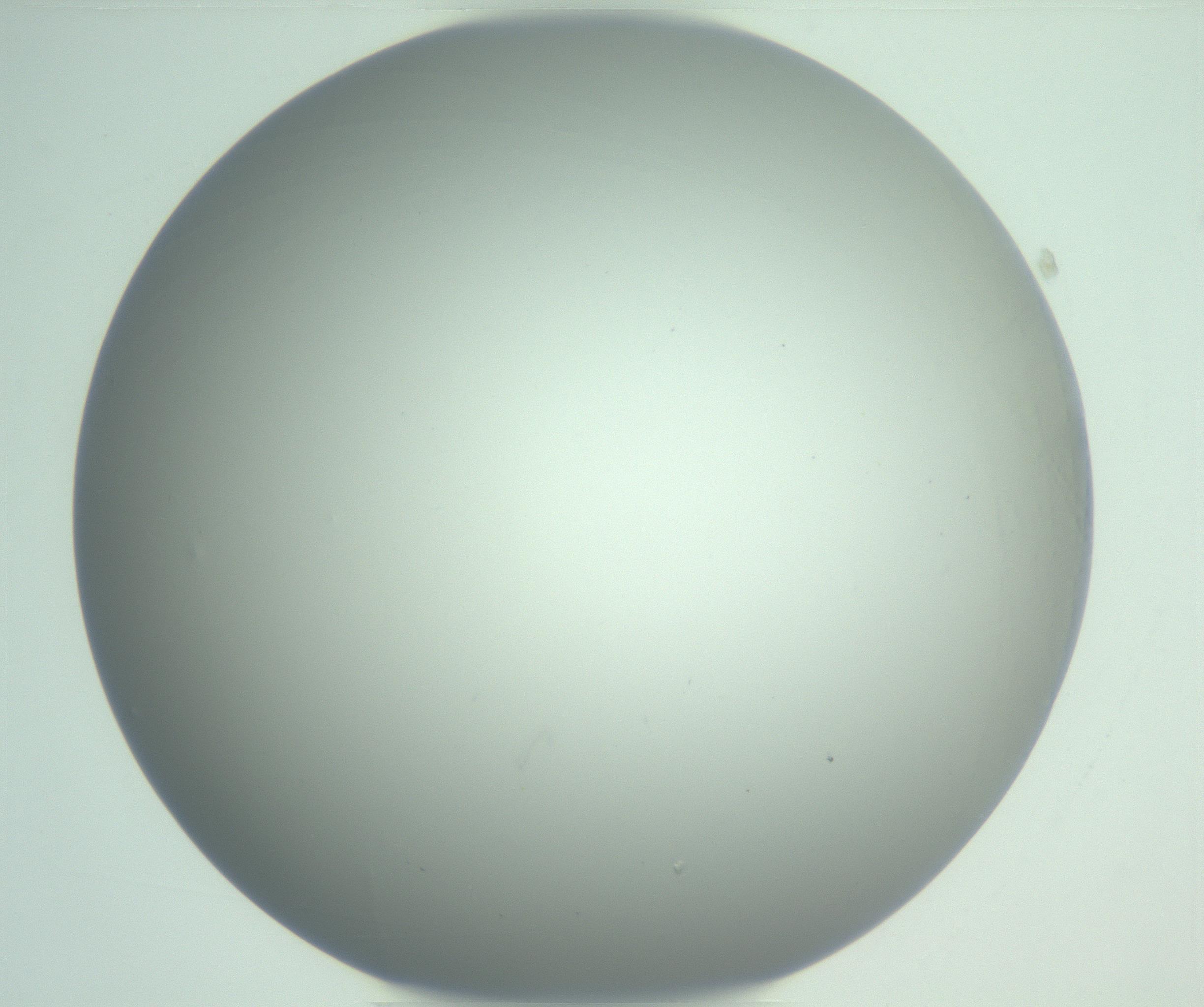 RI01_03_000_0212_Proj1_Clon1_MC_0000MC102975_006_161126_03_08_01_00_99_002_001_RAI.jpg