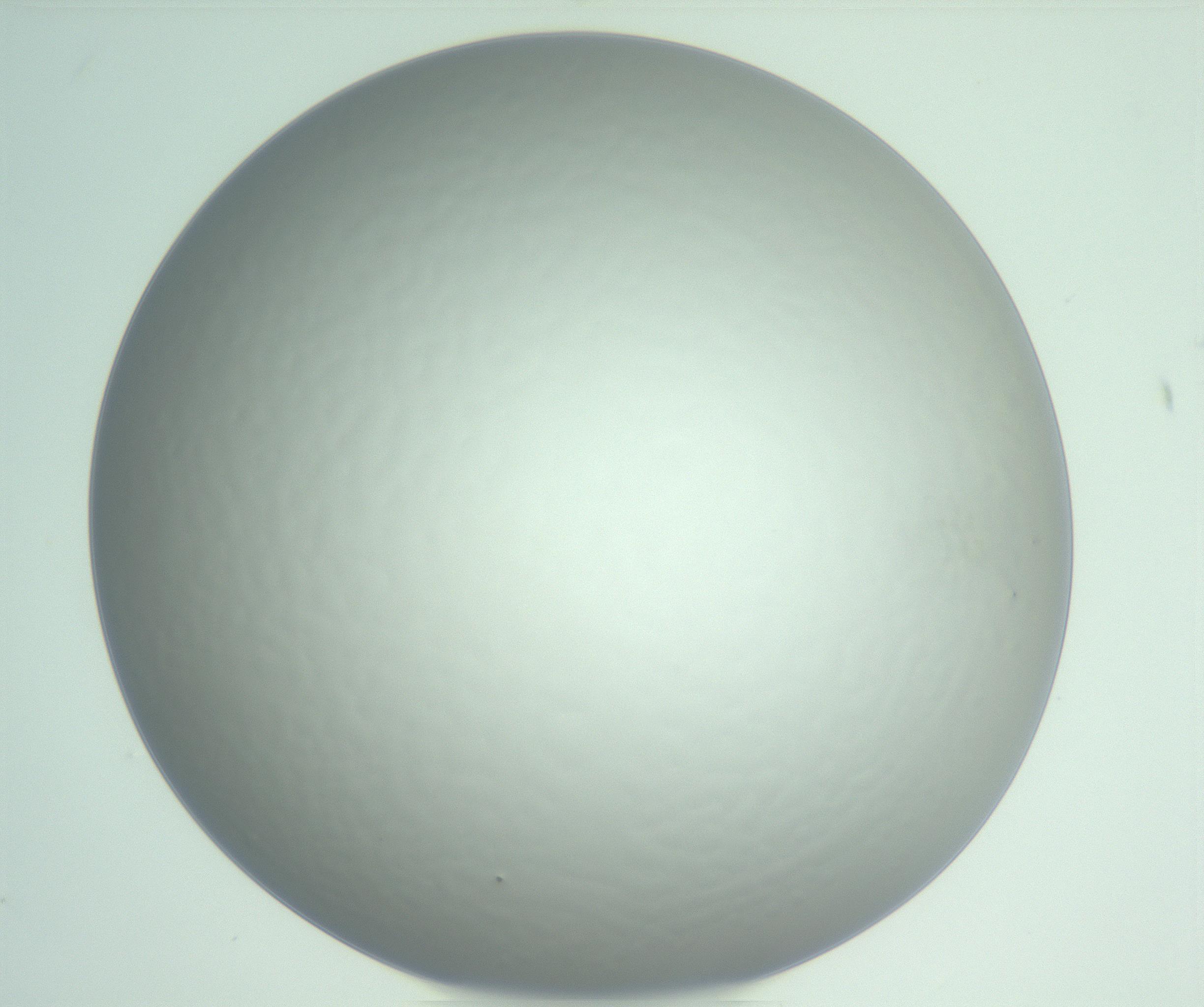 RI01_03_000_0212_Proj1_Clon1_MC_0000MC102975_006_161126_04_02_01_00_99_002_001_RAI.jpg