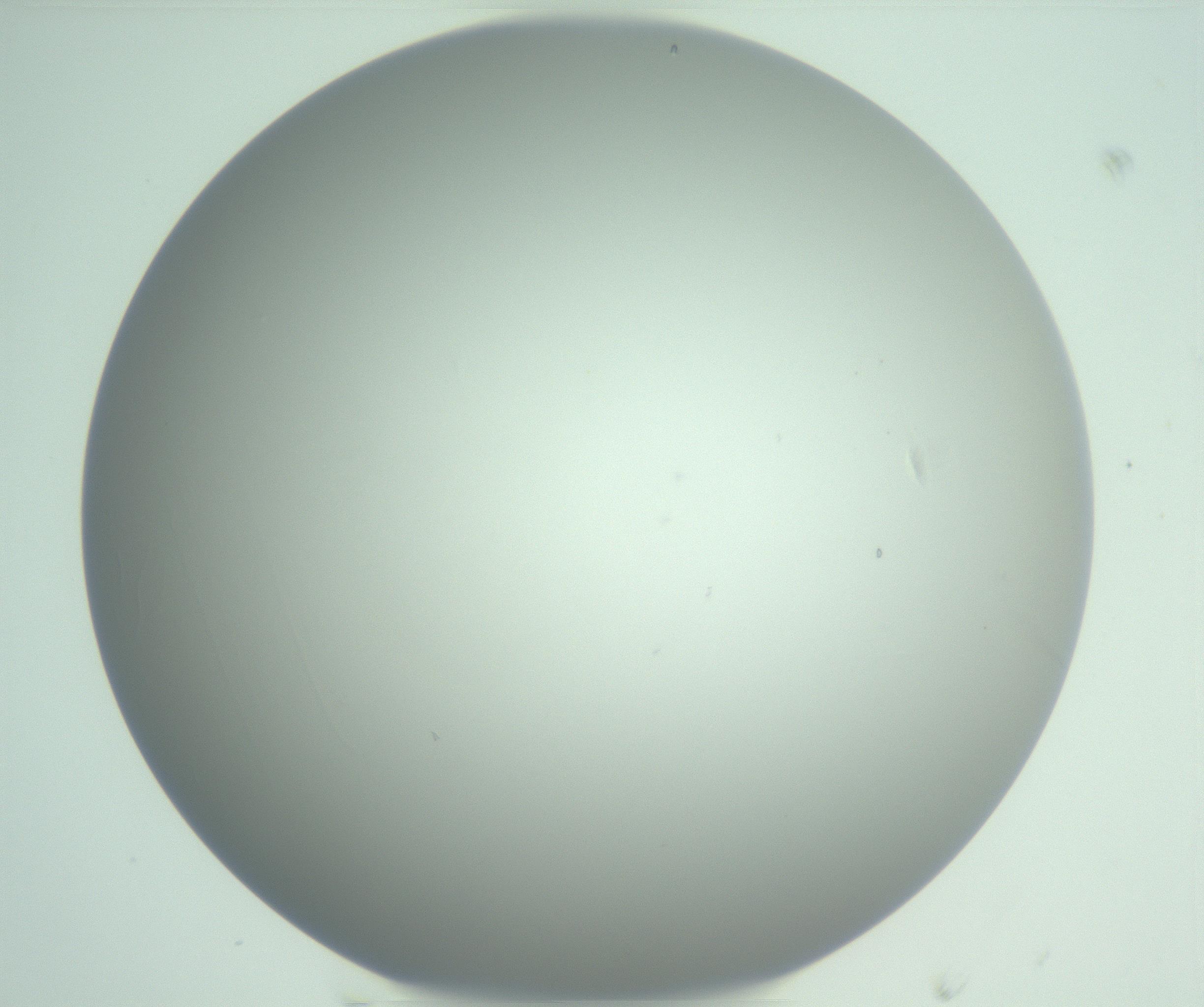 RI01_03_000_0212_Proj1_Clon1_MC_0000MC102975_006_161126_04_07_01_00_99_002_001_RAI.jpg