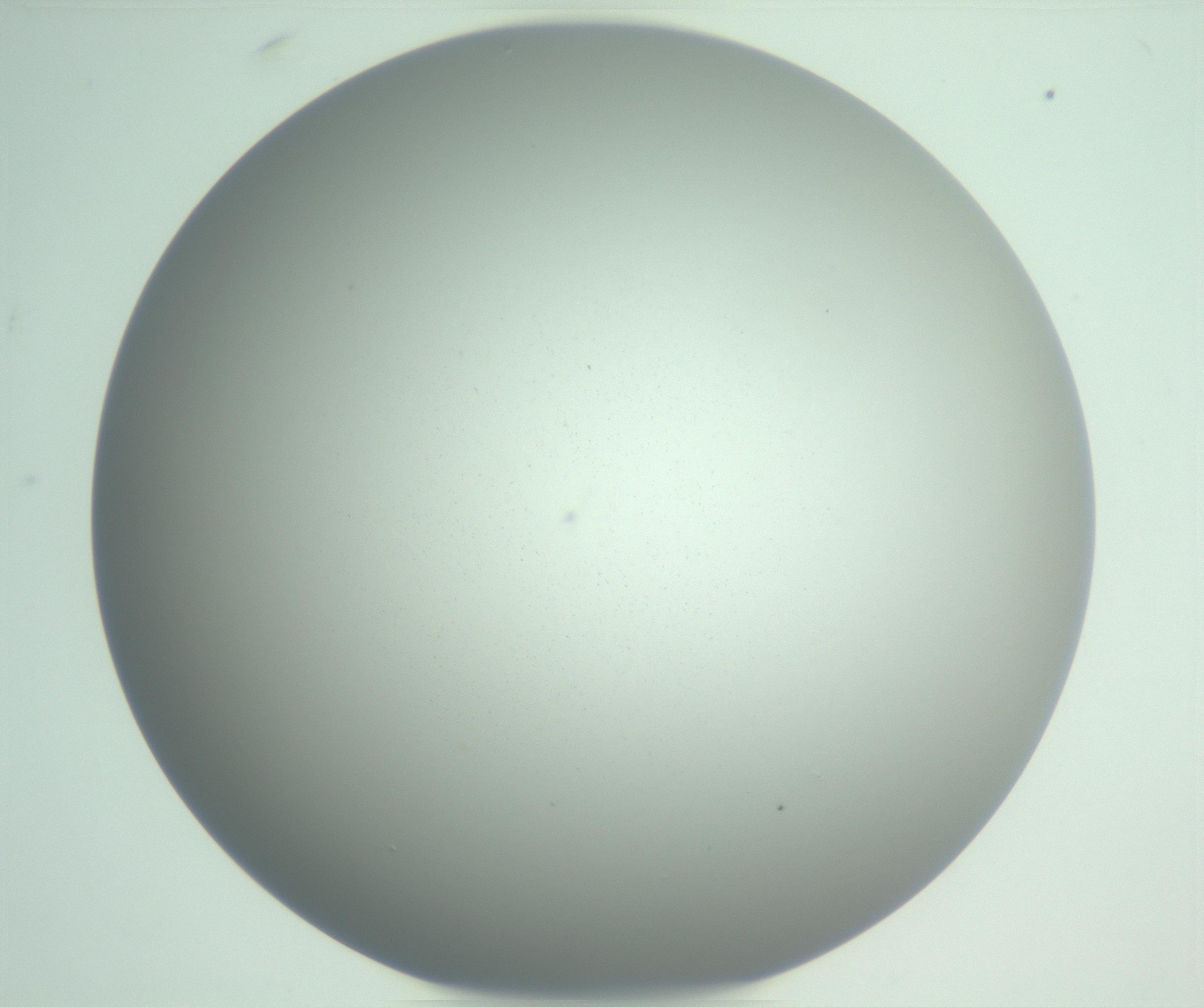 RI01_03_000_0212_Proj1_Clon1_MC_0000MC102975_006_161126_04_08_01_00_99_002_001_RAI.jpg