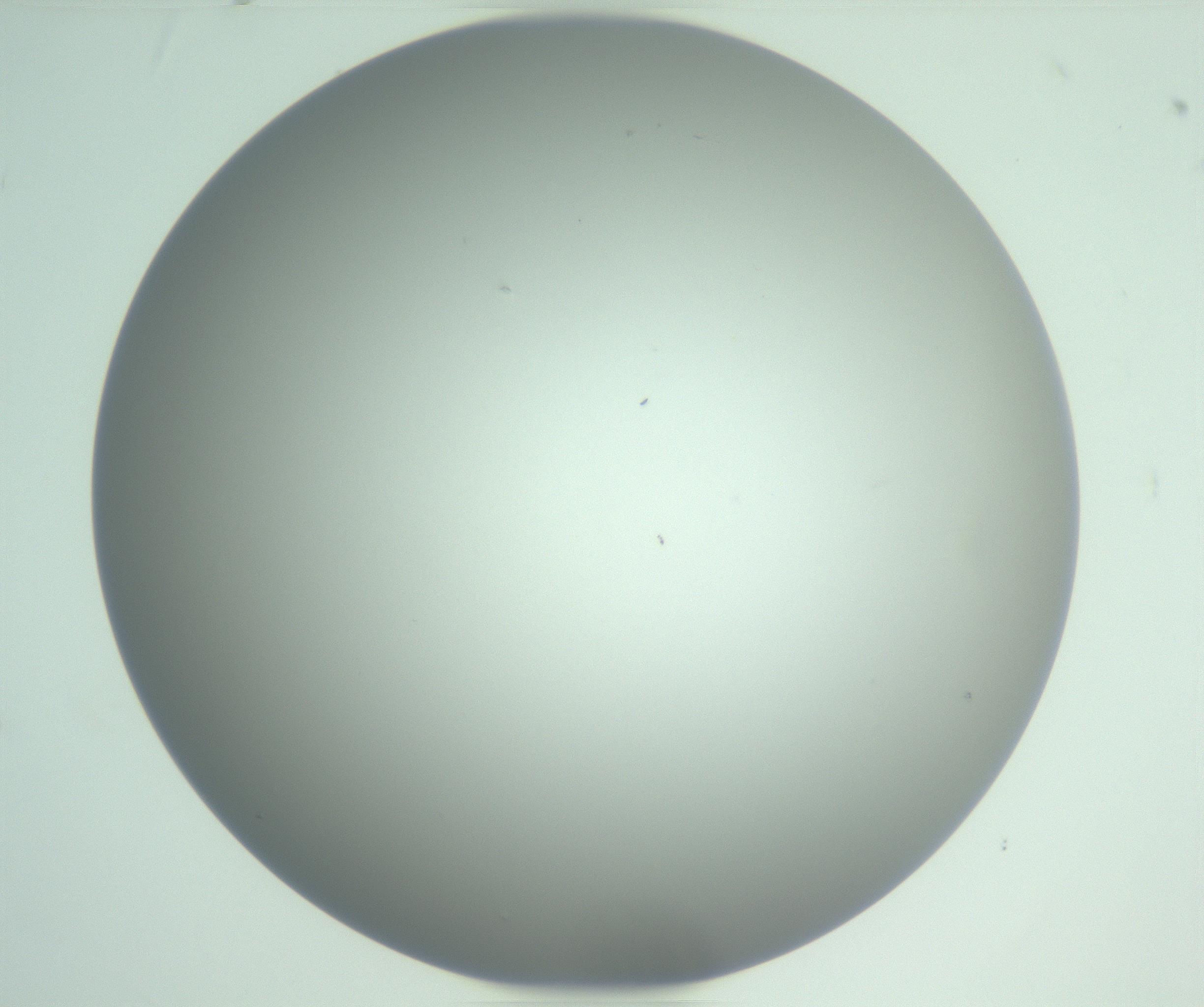 RI01_03_000_0212_Proj1_Clon1_MC_0000MC102975_006_161126_05_01_01_00_99_002_001_RAI.jpg