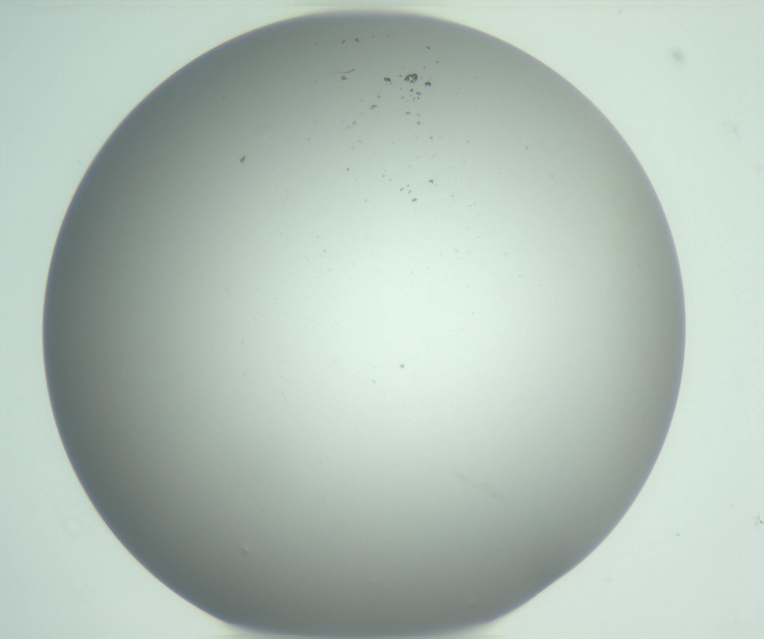 RI01_03_000_0212_Proj1_Clon1_MC_0000MC102975_006_161126_05_02_01_00_99_002_001_RAI.jpg