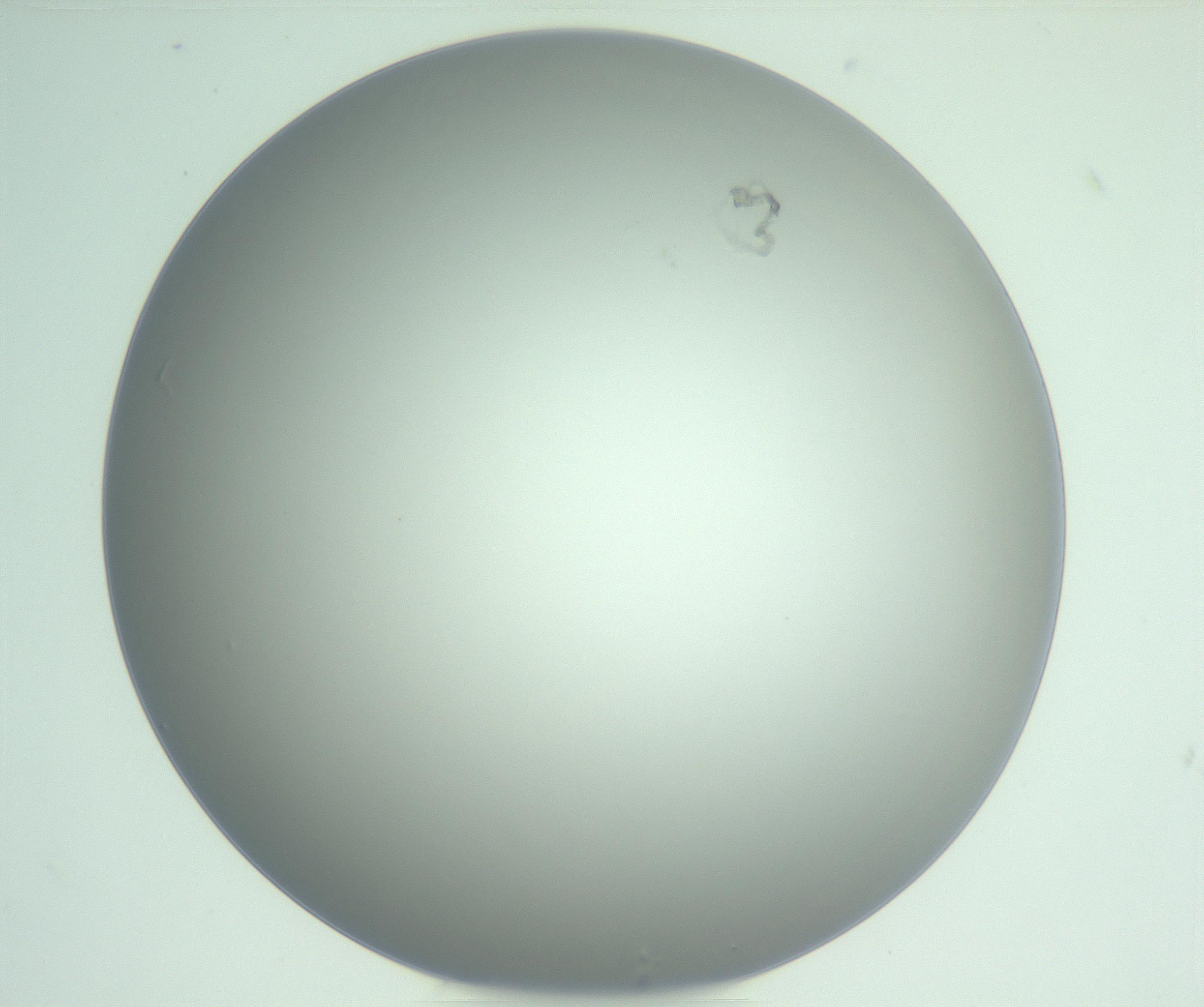 RI01_03_000_0212_Proj1_Clon1_MC_0000MC102975_006_161126_05_03_01_00_99_002_001_RAI.jpg