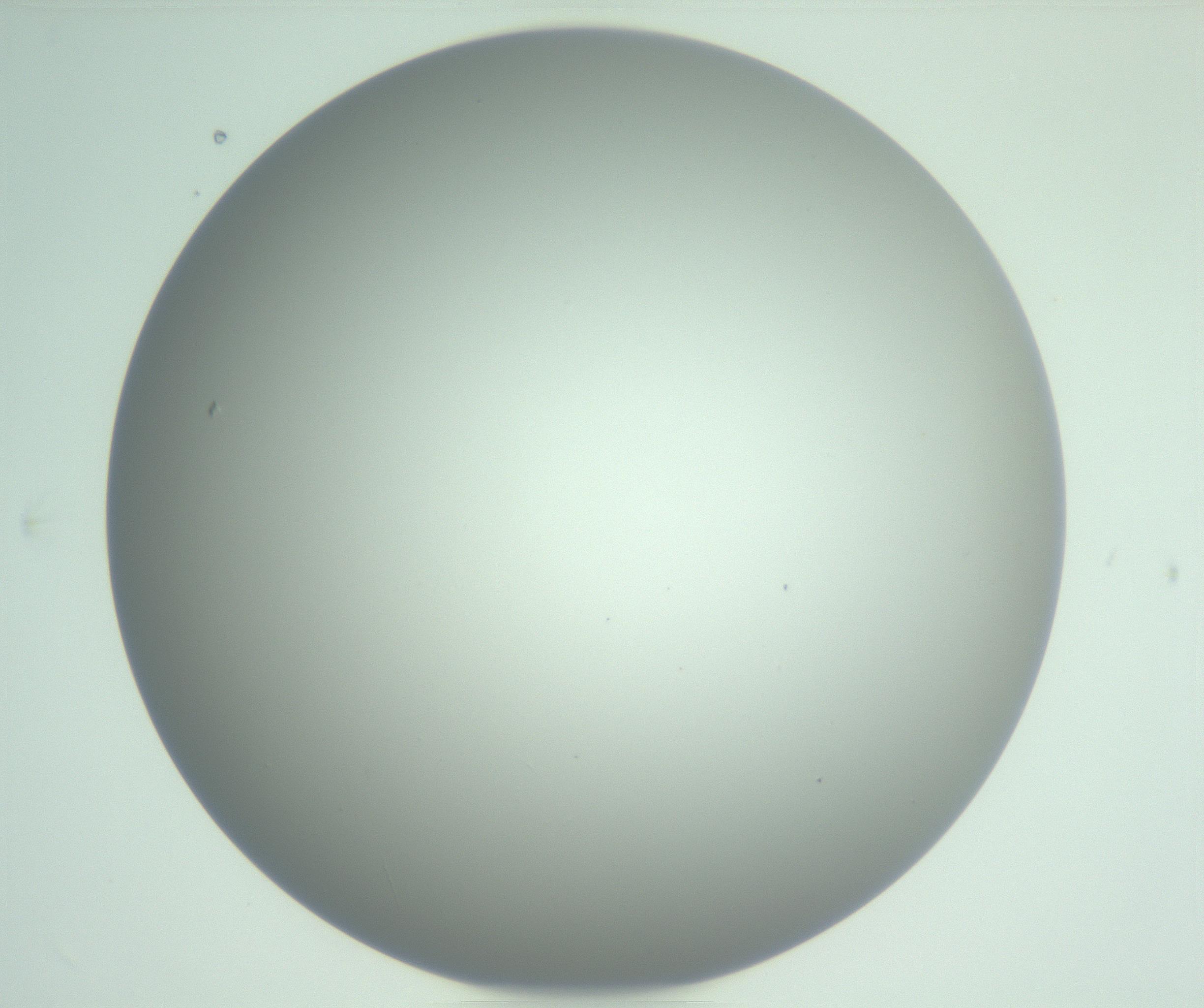RI01_03_000_0212_Proj1_Clon1_MC_0000MC102975_006_161126_05_04_01_00_99_002_001_RAI.jpg