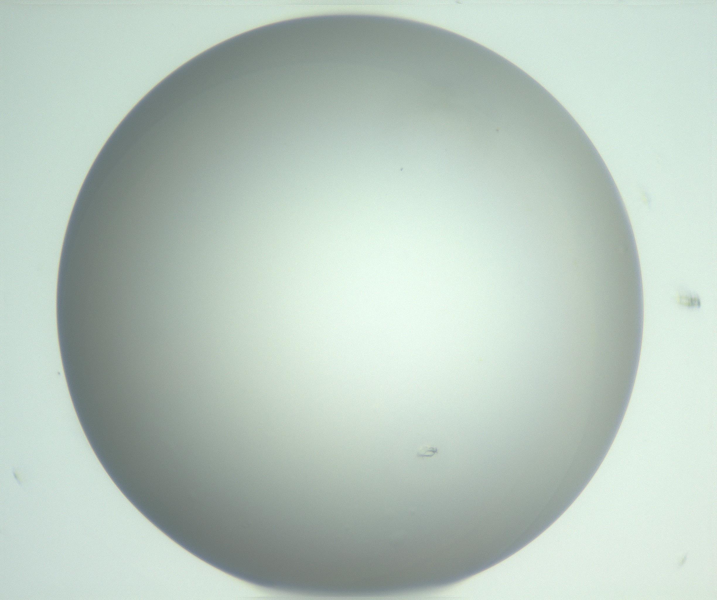 RI01_03_000_0212_Proj1_Clon1_MC_0000MC102975_006_161126_05_06_01_00_99_002_001_RAI.jpg