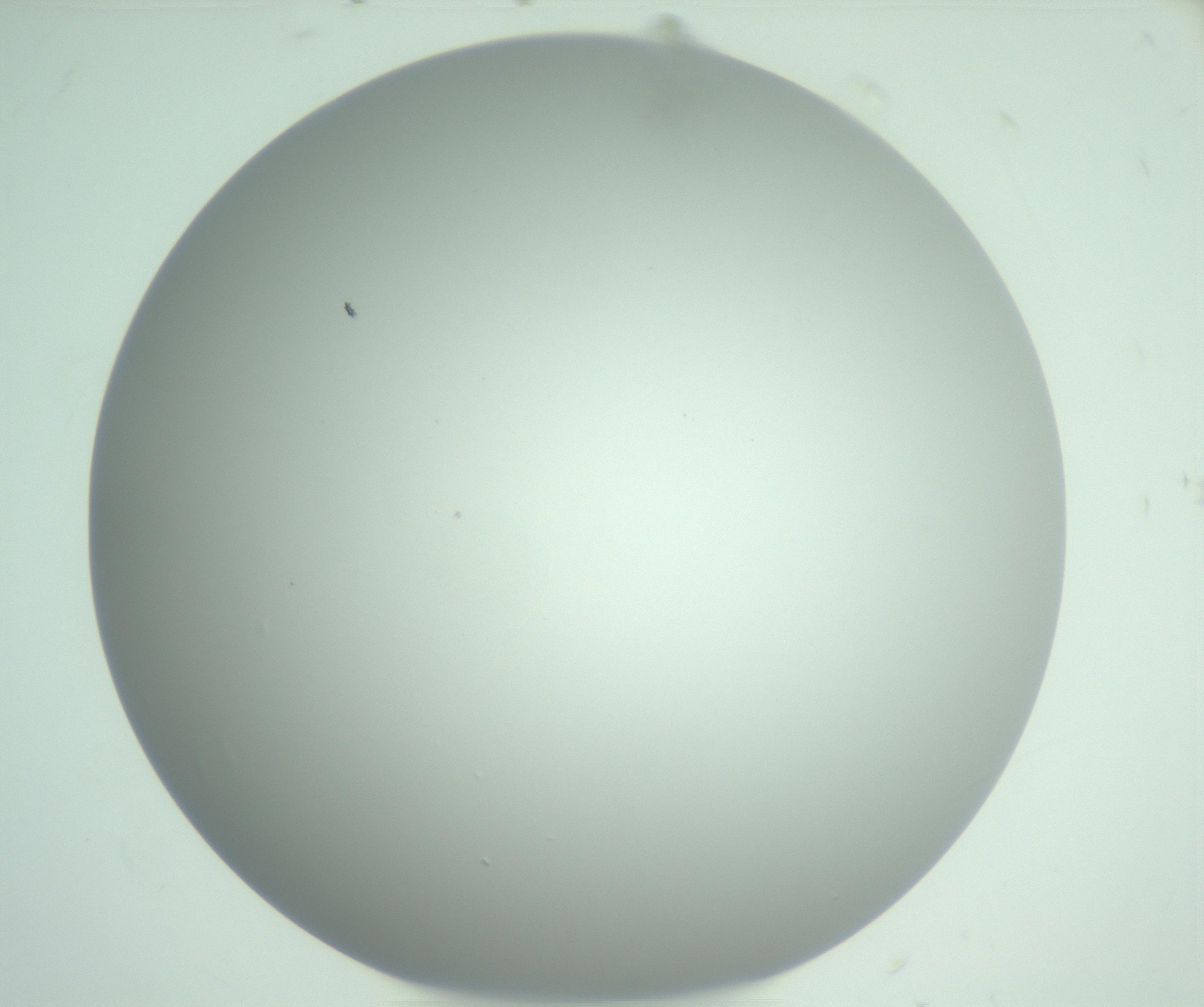 RI01_03_000_0212_Proj1_Clon1_MC_0000MC102975_006_161126_06_01_01_00_99_002_001_RAI.jpg