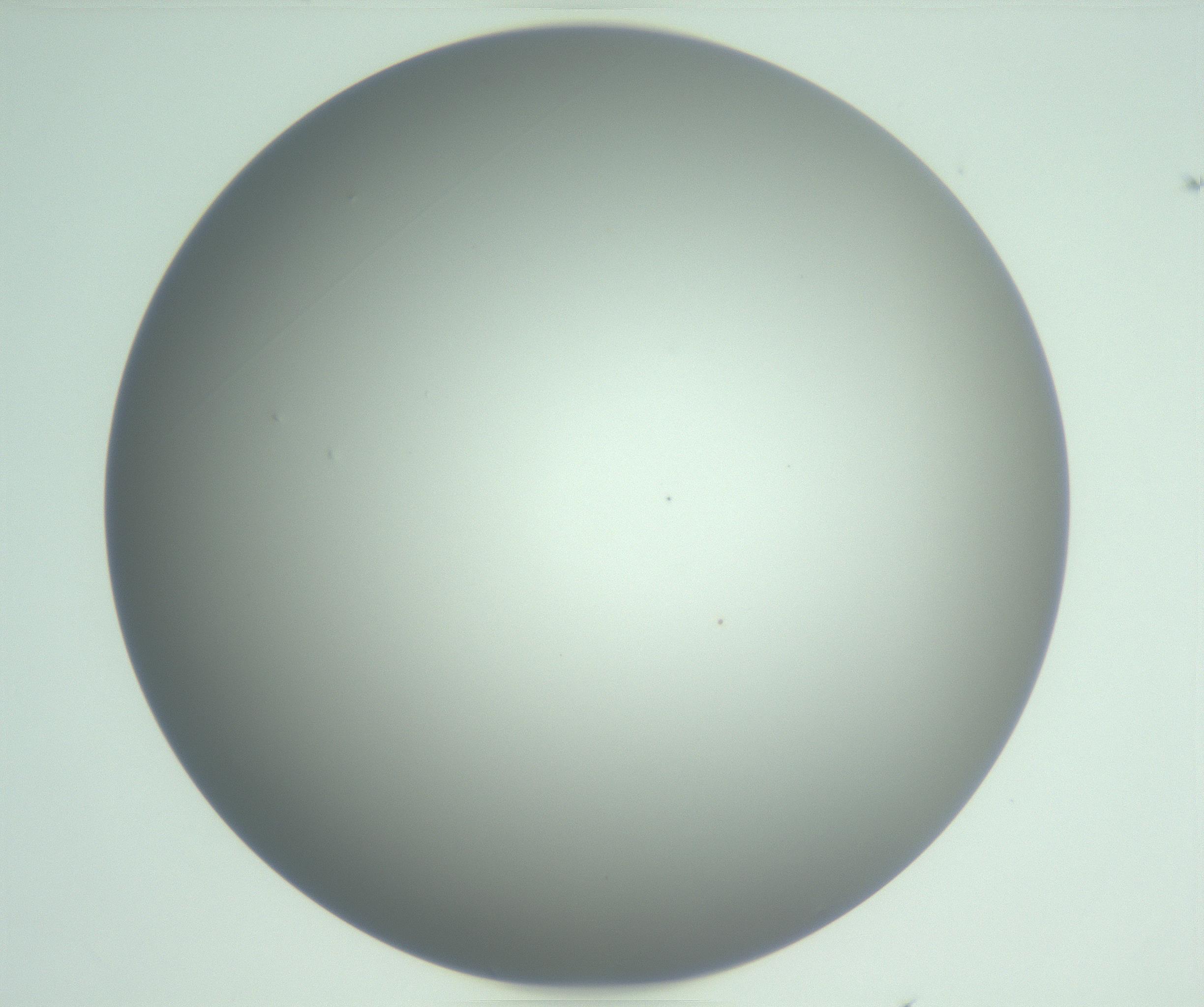 RI01_03_000_0212_Proj1_Clon1_MC_0000MC102975_006_161126_06_05_01_00_99_002_001_RAI.jpg