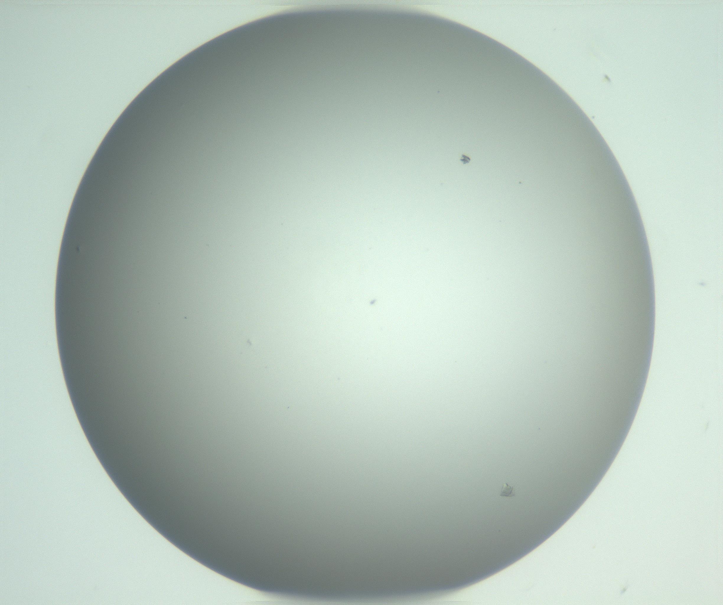 RI01_03_000_0212_Proj1_Clon1_MC_0000MC102975_006_161126_06_06_01_00_99_002_001_RAI.jpg