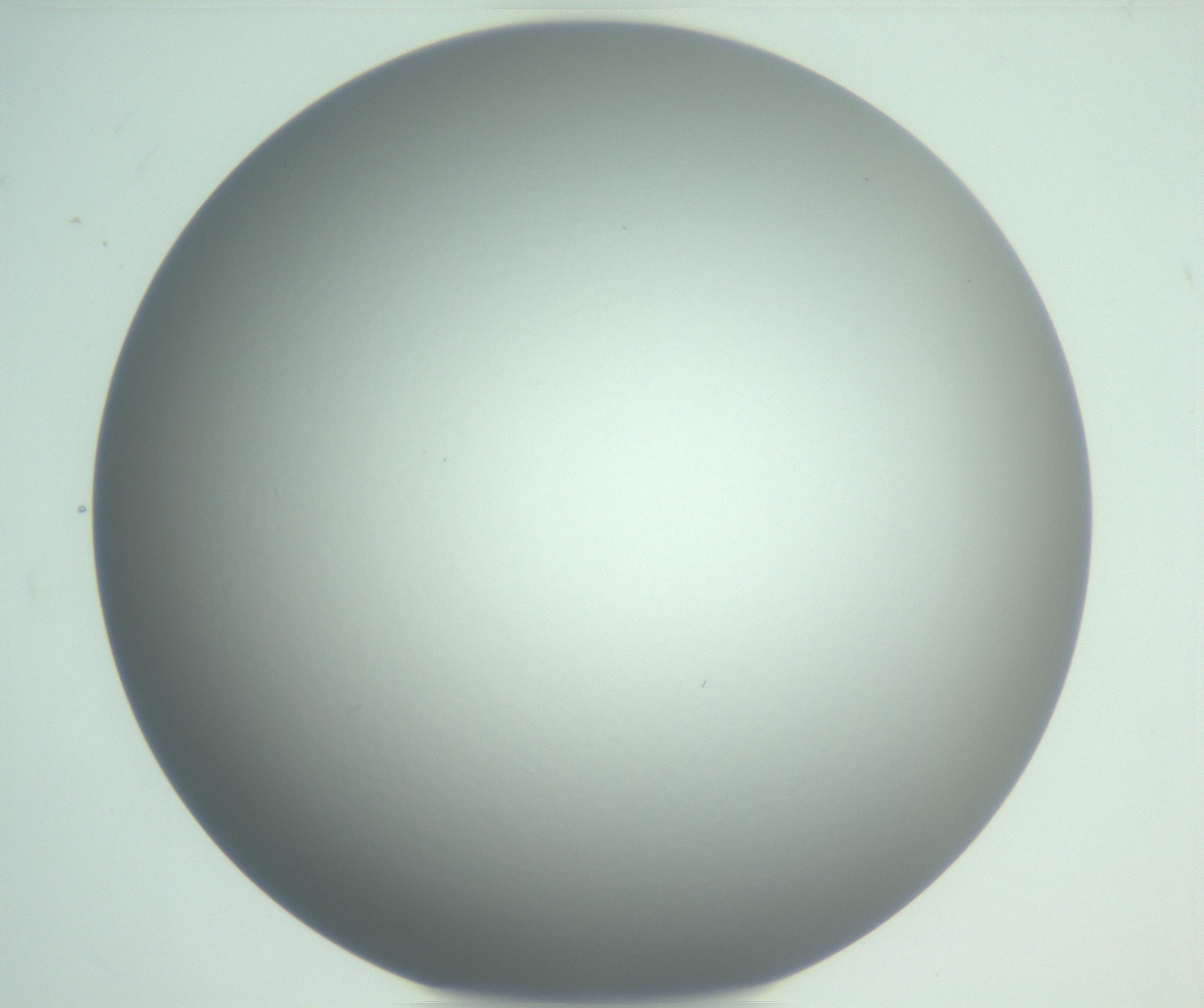 RI01_03_000_0212_Proj1_Clon1_MC_0000MC102975_006_161126_06_08_01_00_99_002_001_RAI.jpg
