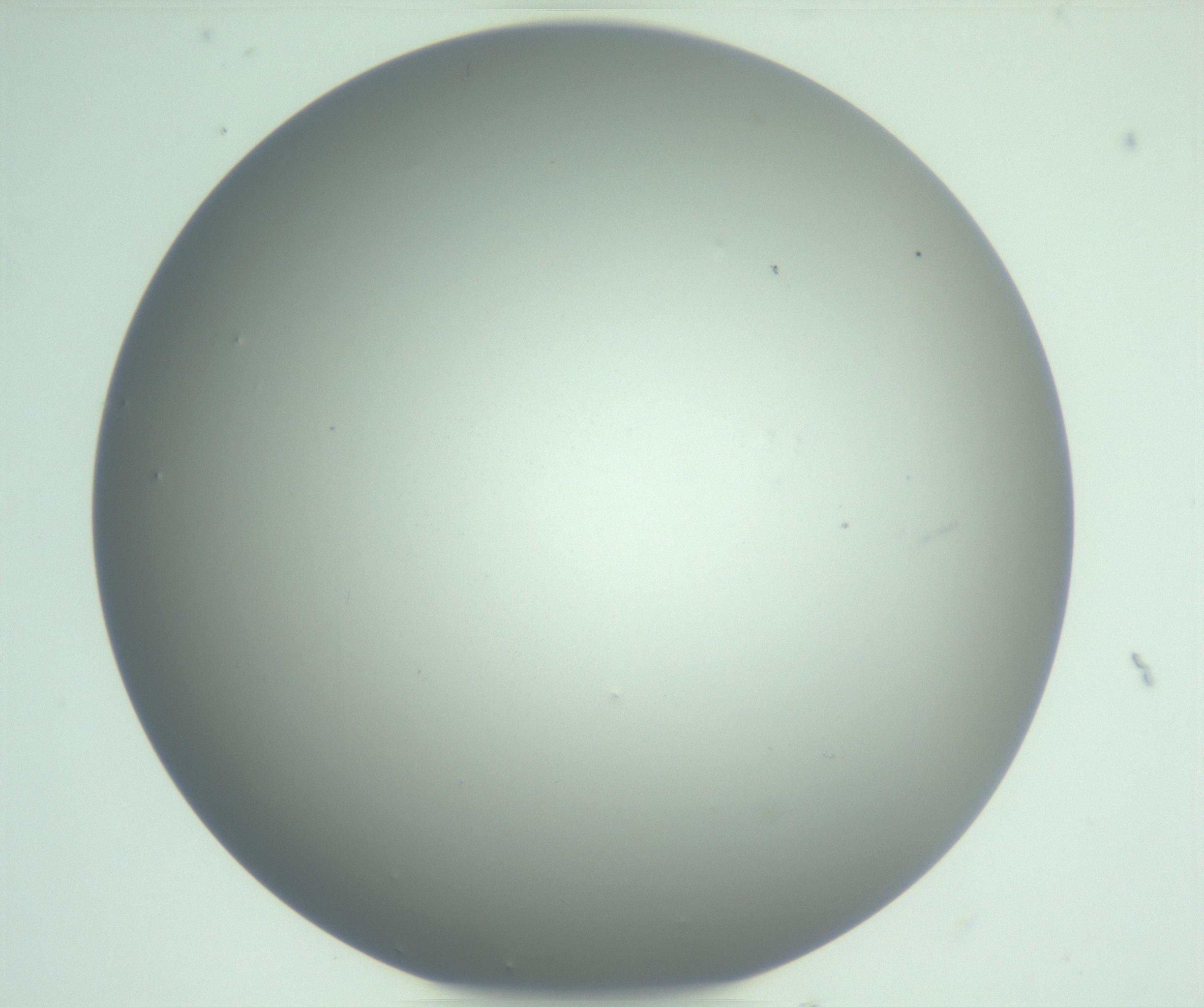 RI01_03_000_0212_Proj1_Clon1_MC_0000MC102975_006_161126_07_03_01_00_99_002_001_RAI.jpg