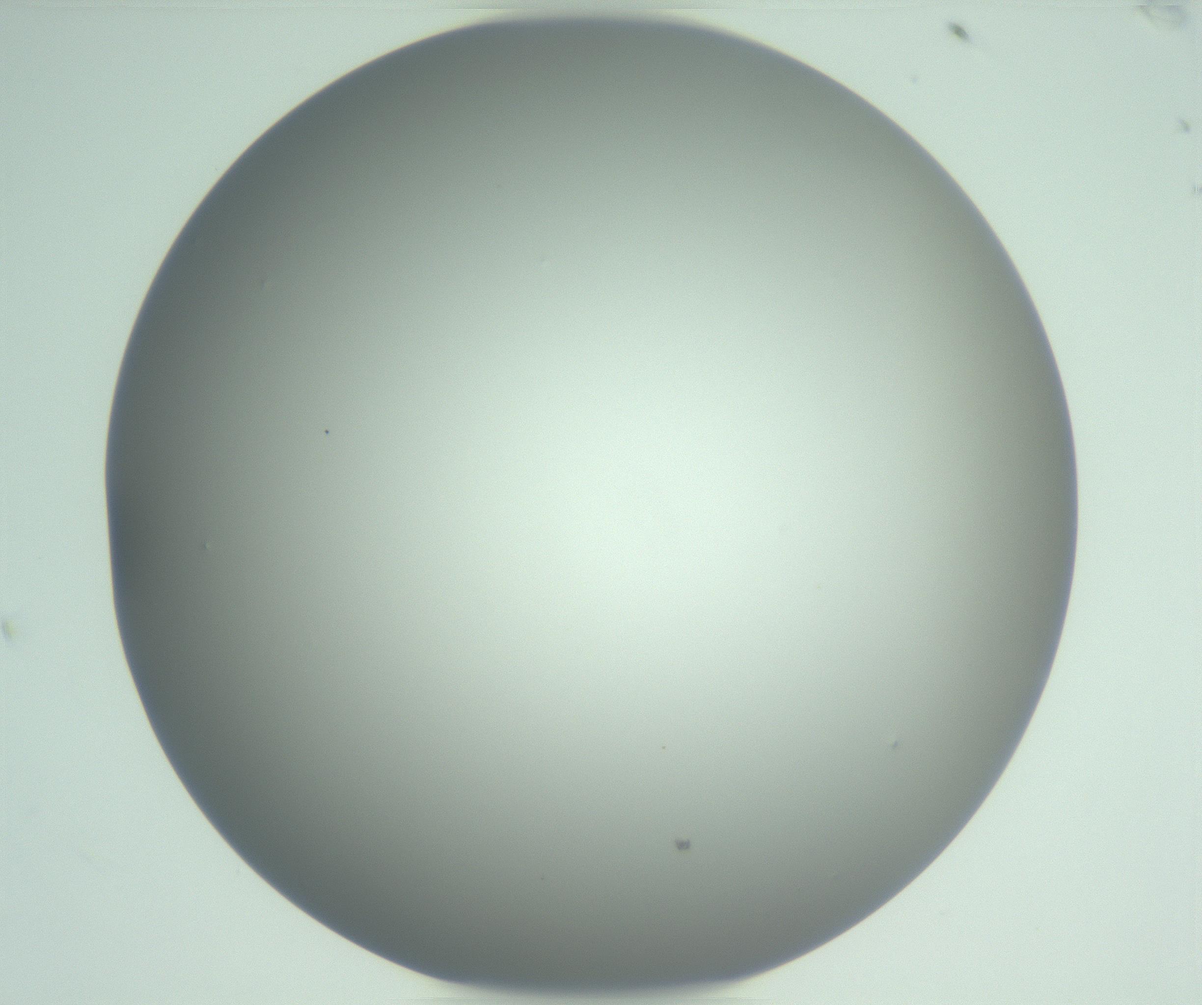 RI01_03_000_0212_Proj1_Clon1_MC_0000MC102975_006_161126_07_05_01_00_99_002_001_RAI.jpg