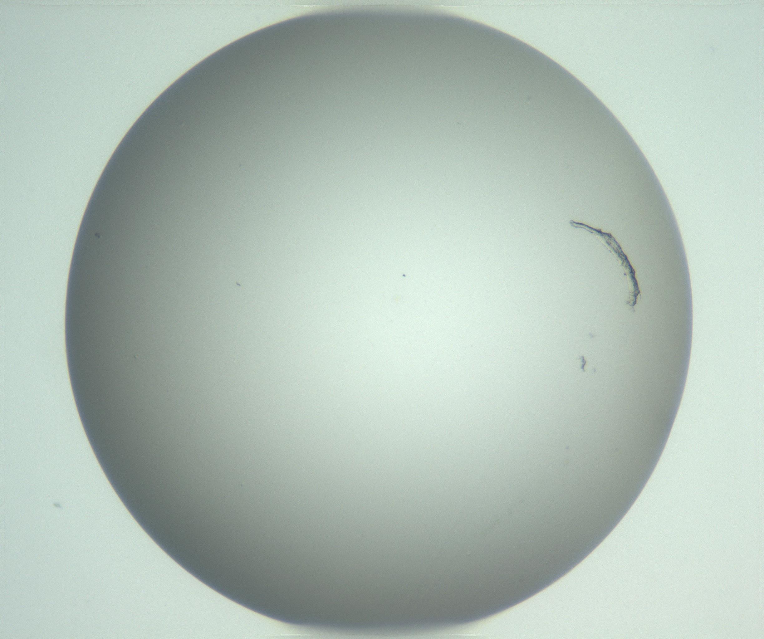 RI01_03_000_0212_Proj1_Clon1_MC_0000MC102975_006_161126_07_06_01_00_99_002_001_RAI.jpg