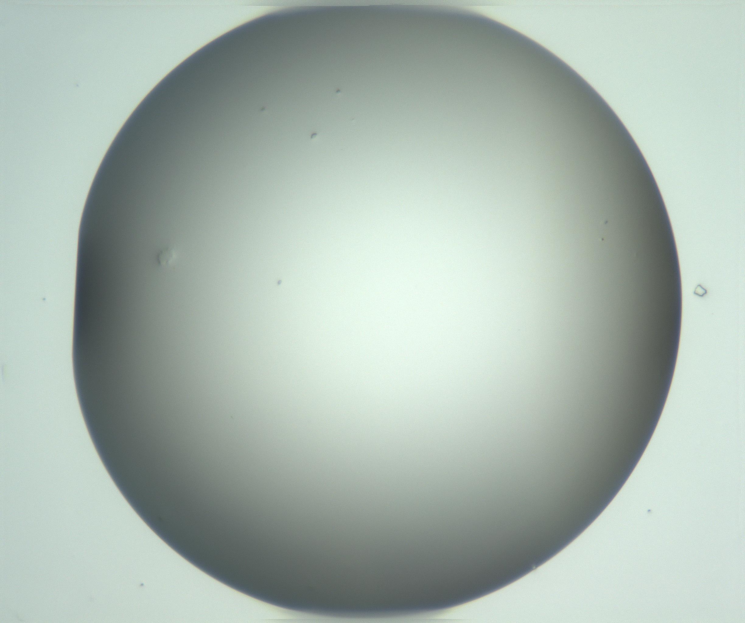 RI01_03_000_0212_Proj1_Clon1_MC_0000MC102975_006_161126_07_07_01_00_99_002_001_RAI.jpg